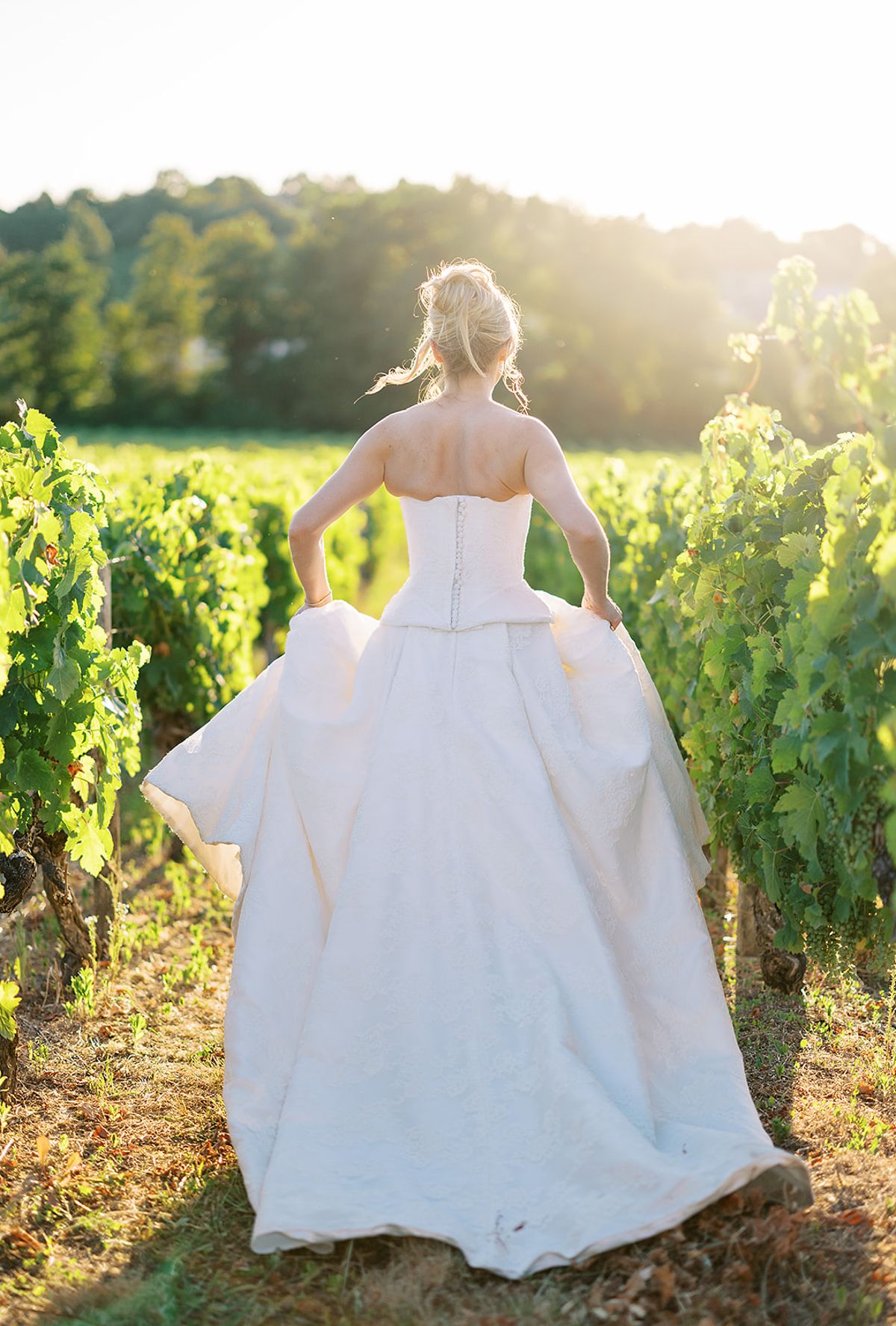The bride, seen from behind, lifts her full skirt as she walks between vine rows in glowing low sunlight.