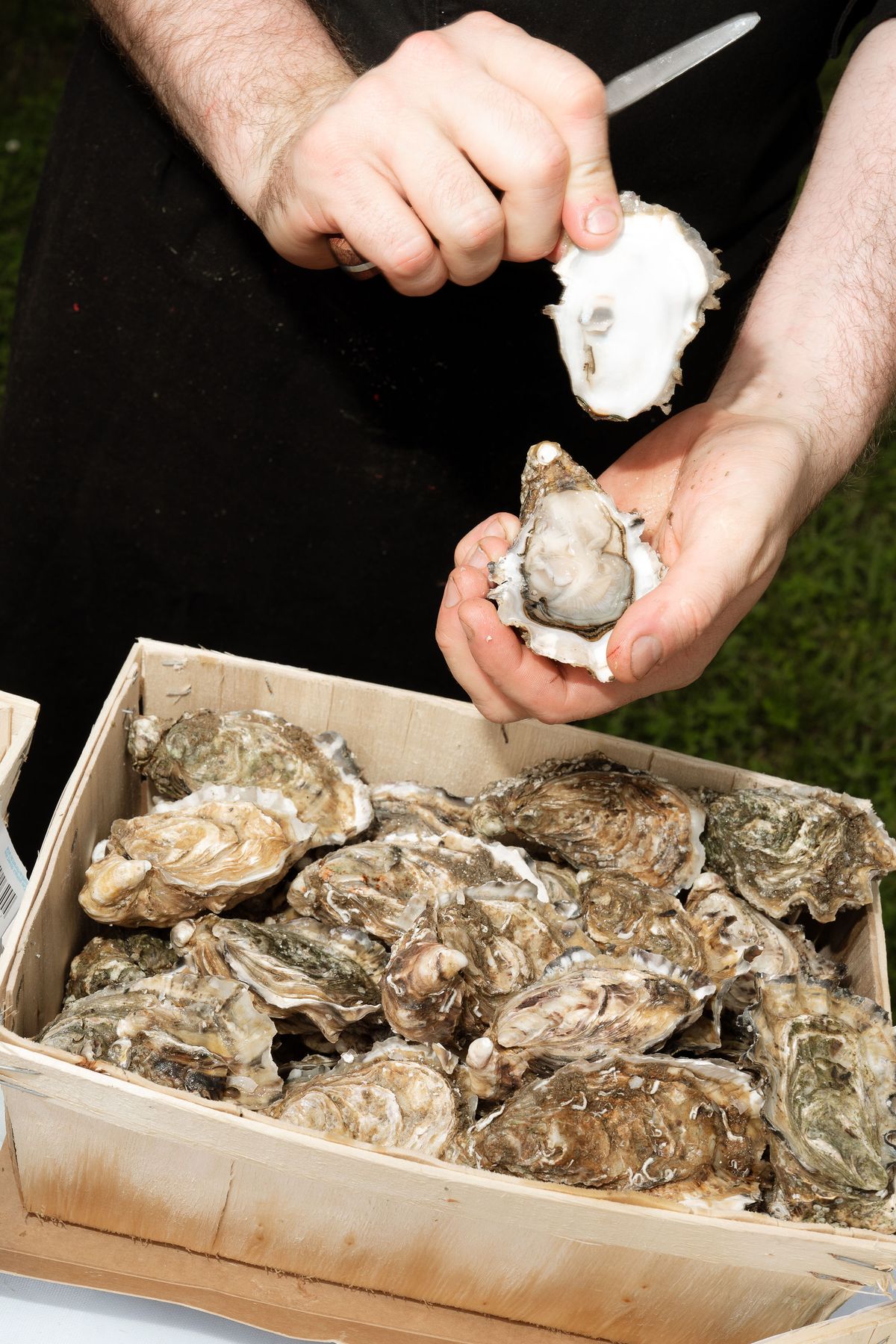Close-up of oysters being shucked for cocktail hour