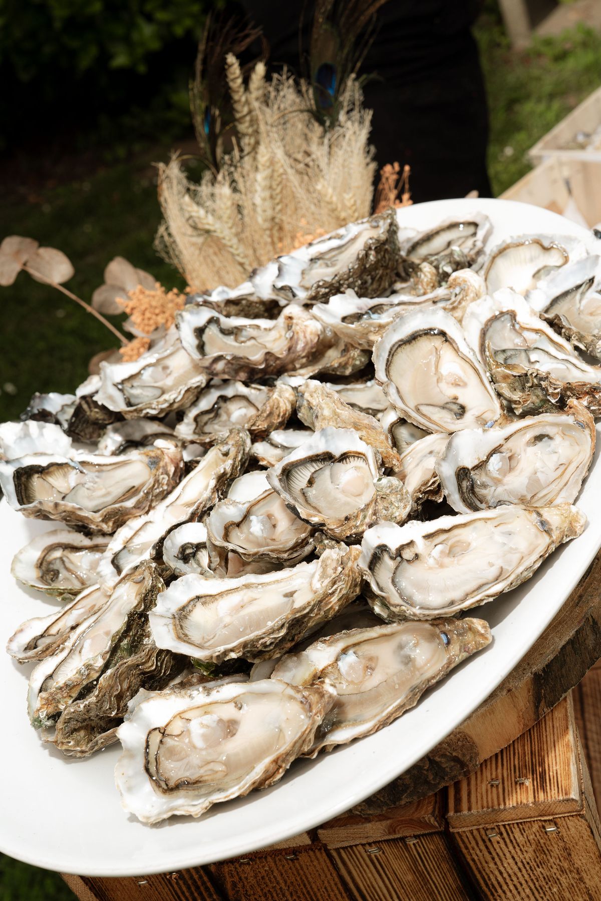 A plate of fresh oysters served during cocktail hour