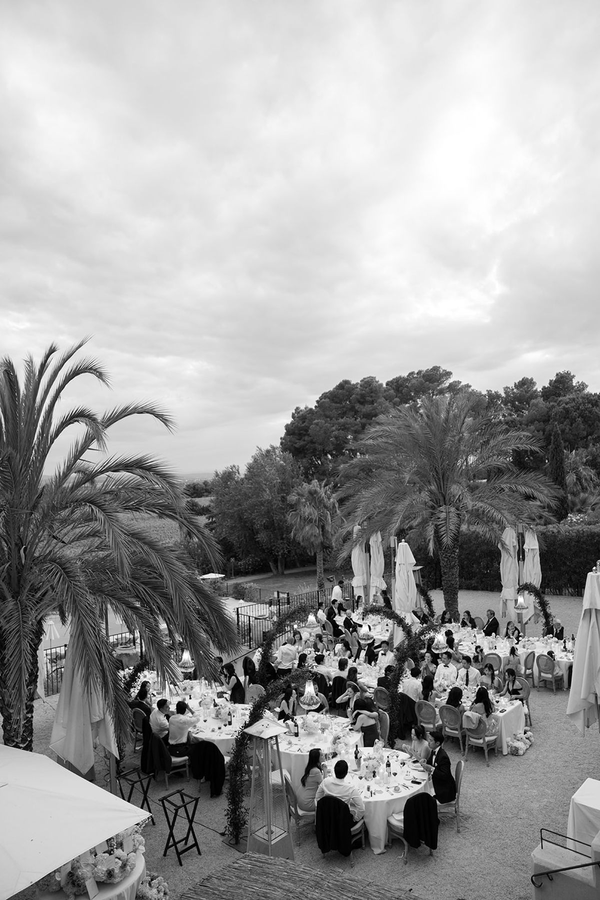 Black and white view over the full dinner terrace among palms