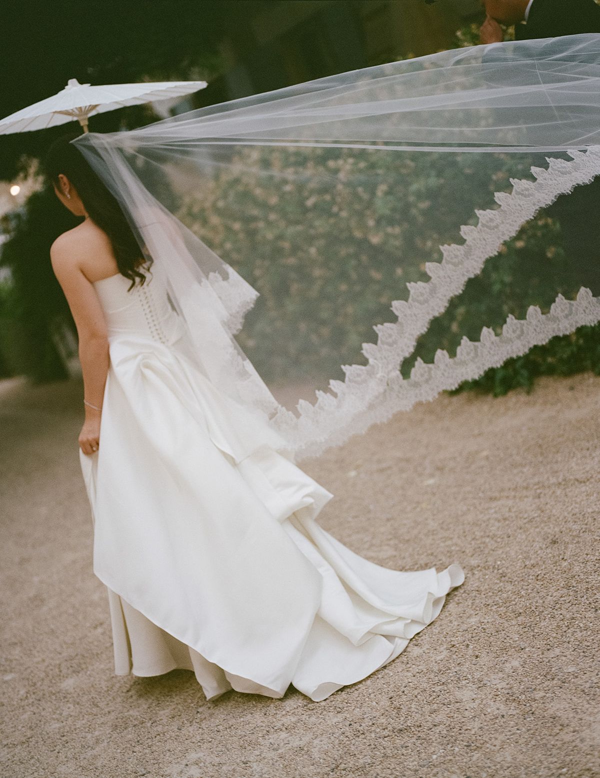Carina seen from behind on the gravel, her lace-edged veil lifting in the wind