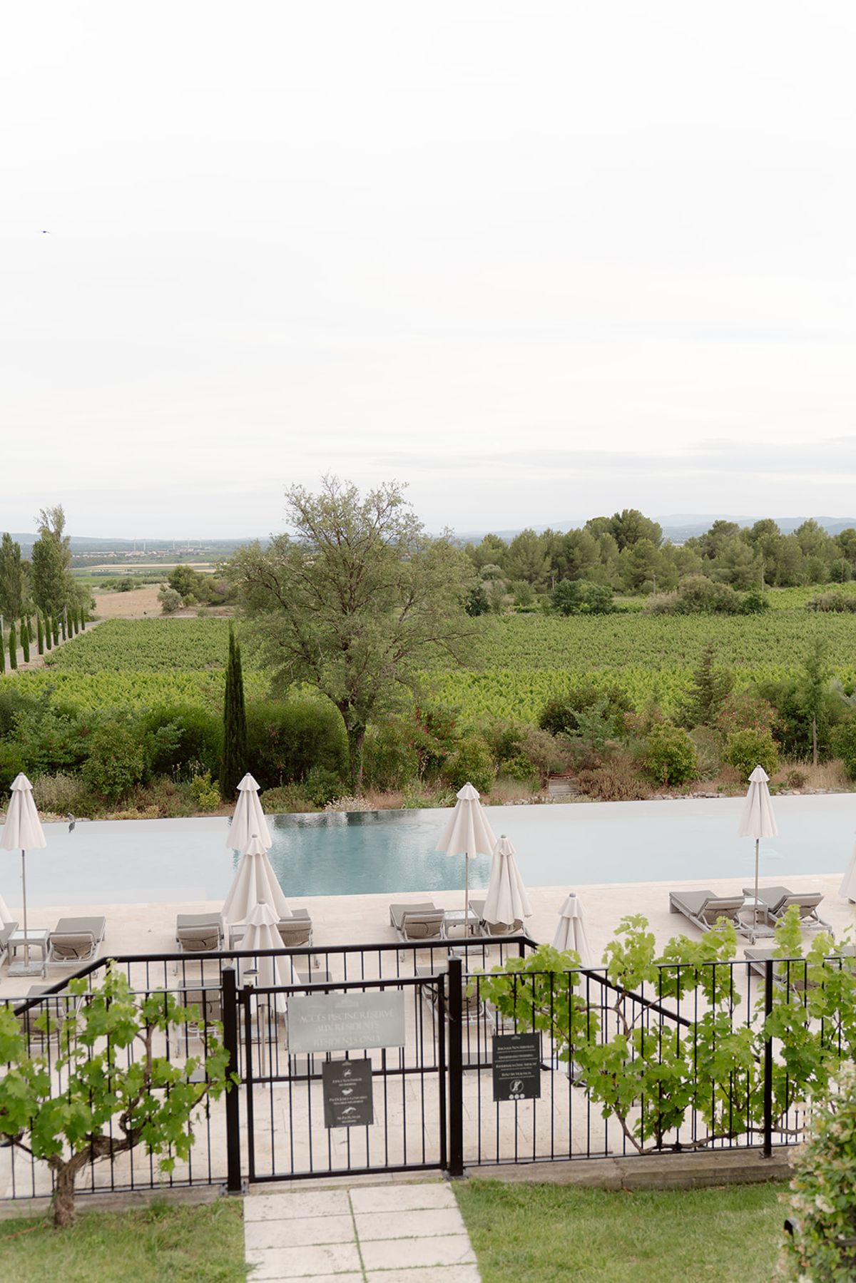 The estate swimming pool with vineyards stretching beyond a garden gate