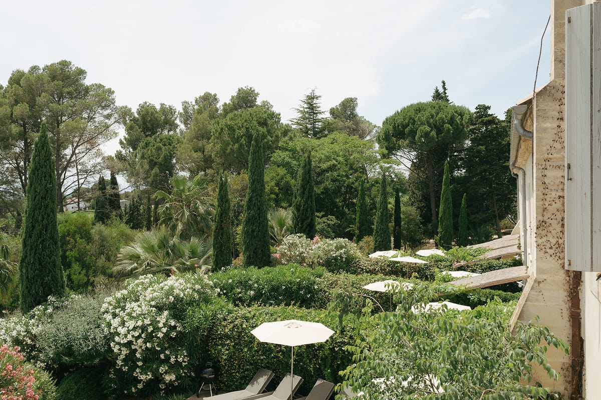 Garden terrace of cypress, pines and white flowering shrubs with parasols and loungers