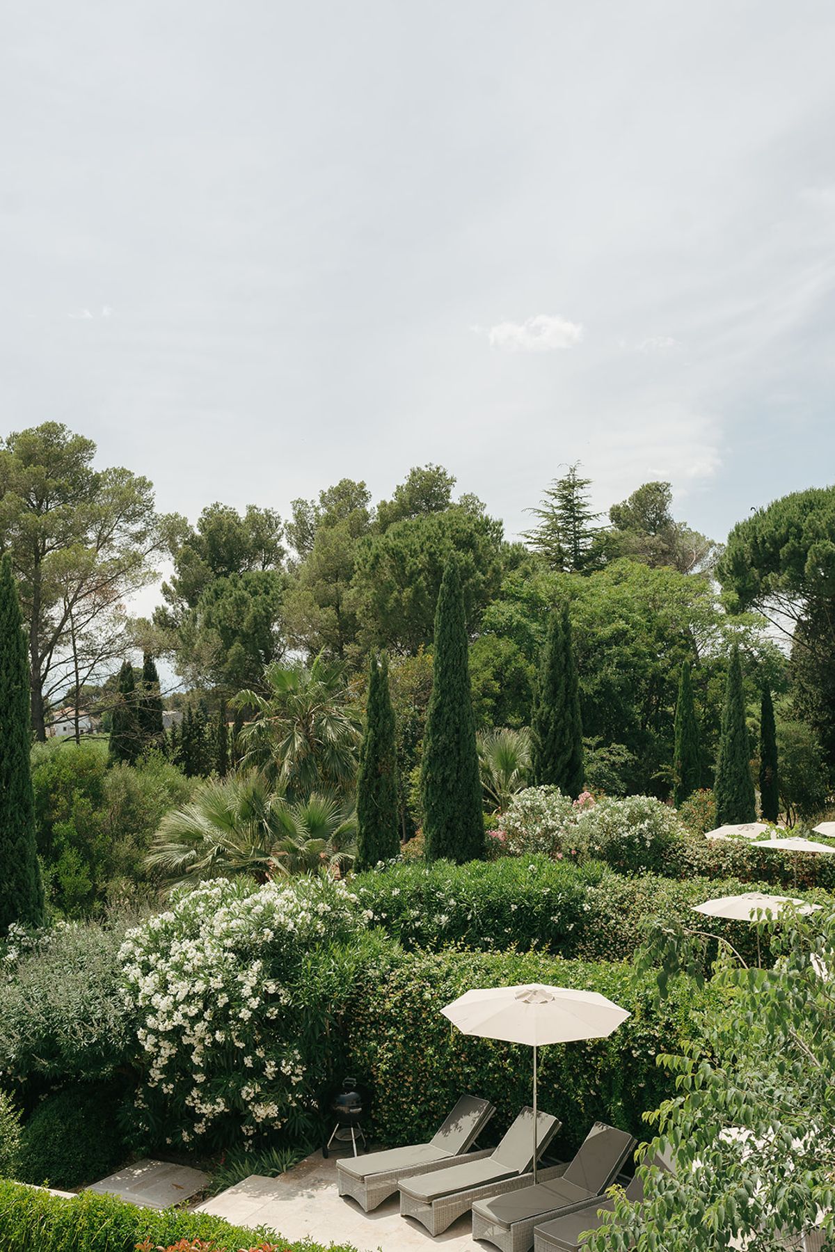 Cypress trees and flowering shrubs around the estate's pool gardens