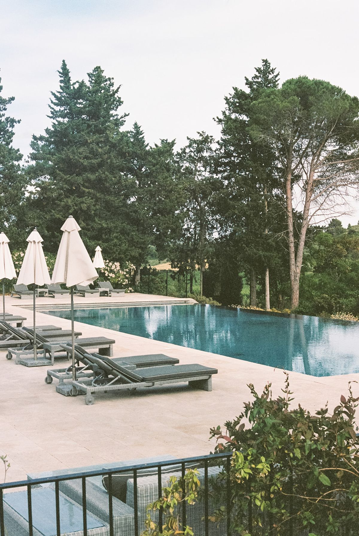 The estate swimming pool framed by pines and parasols
