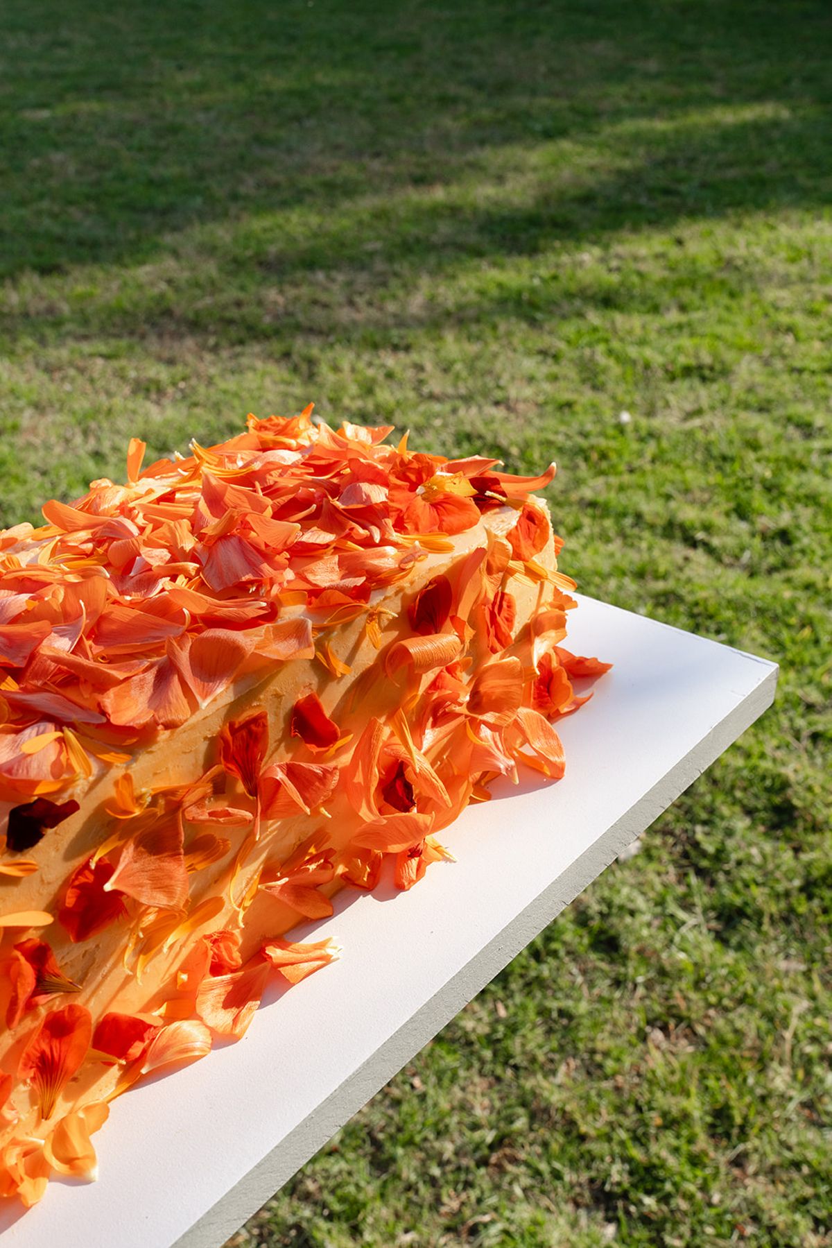 A long sheet cake covered in orange petals on a white board on the grass