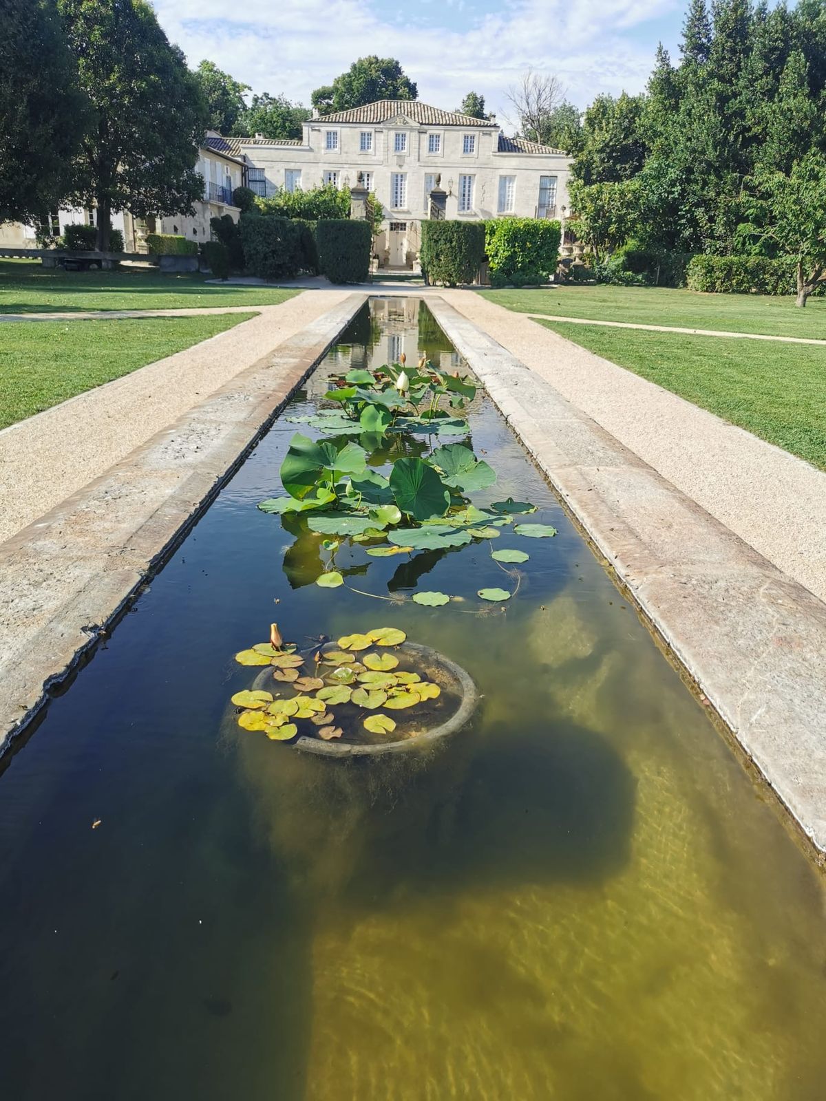 Reflecting pool with lily pads and the château in the background