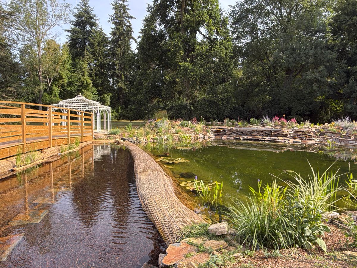 The white gloriette beside the water garden, with a timber walkway over the pond and planted rock edges