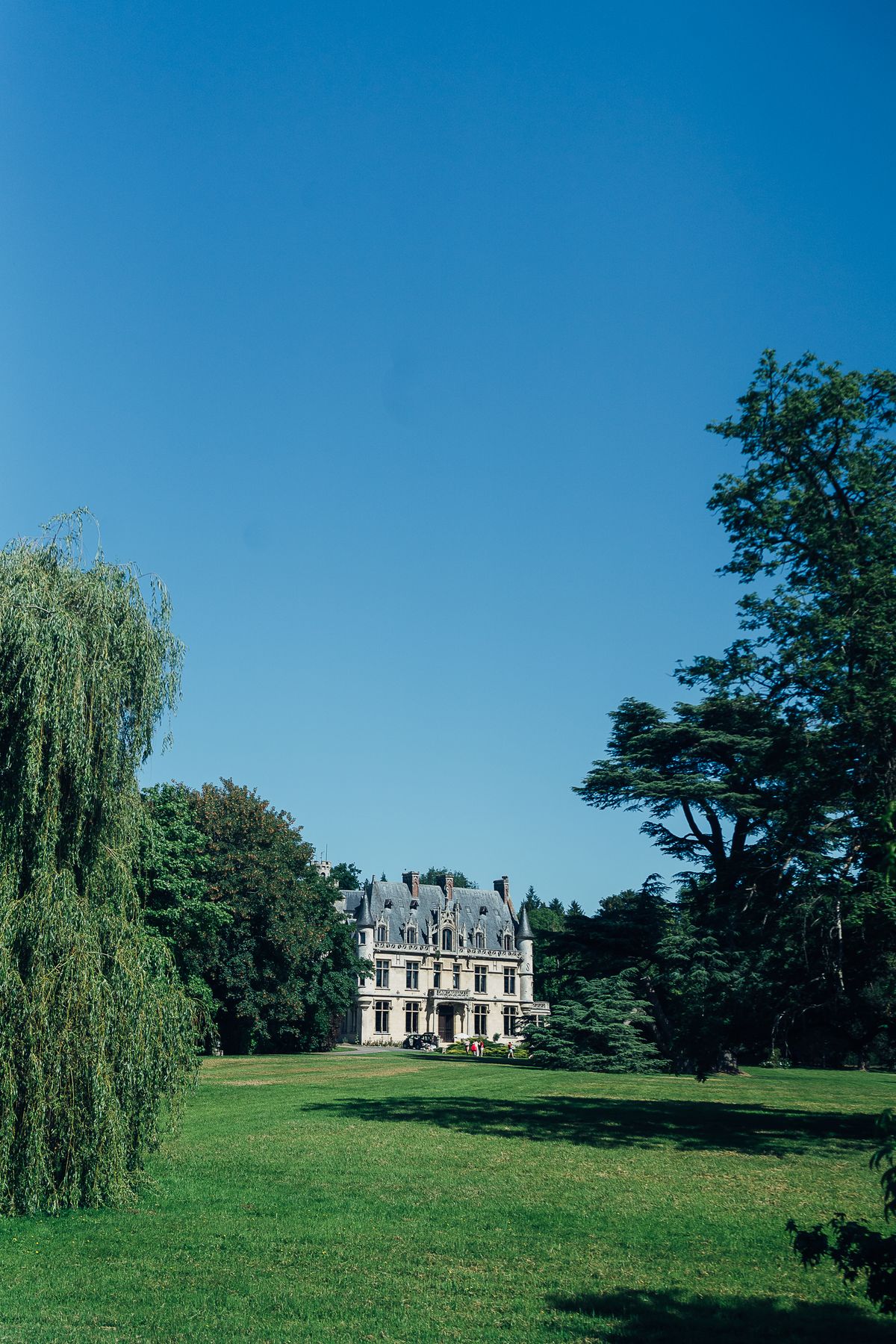 The château seen across open lawns from the far side of the park, framed by a weeping willow