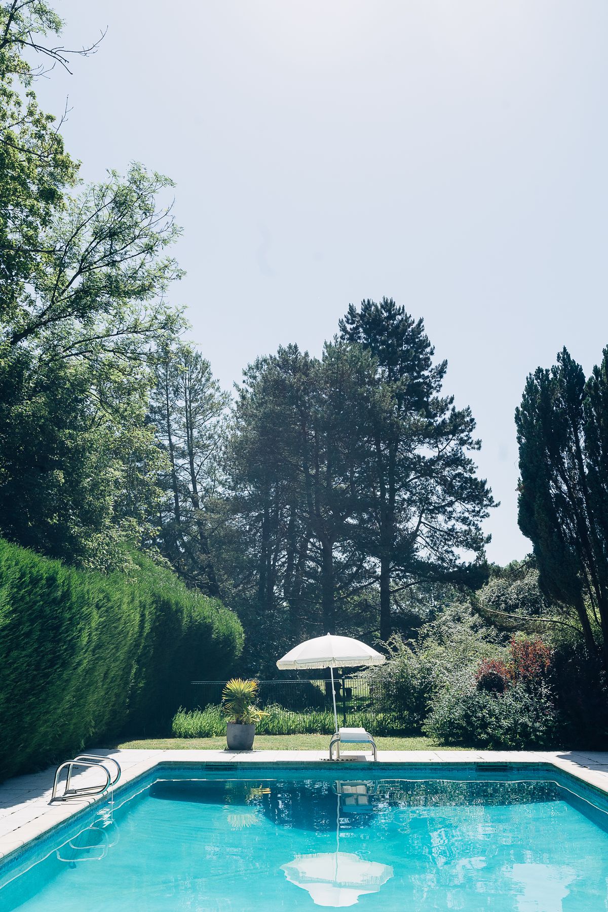 The swimming pool with a white parasol and lounger, screened by a tall hedge and pines