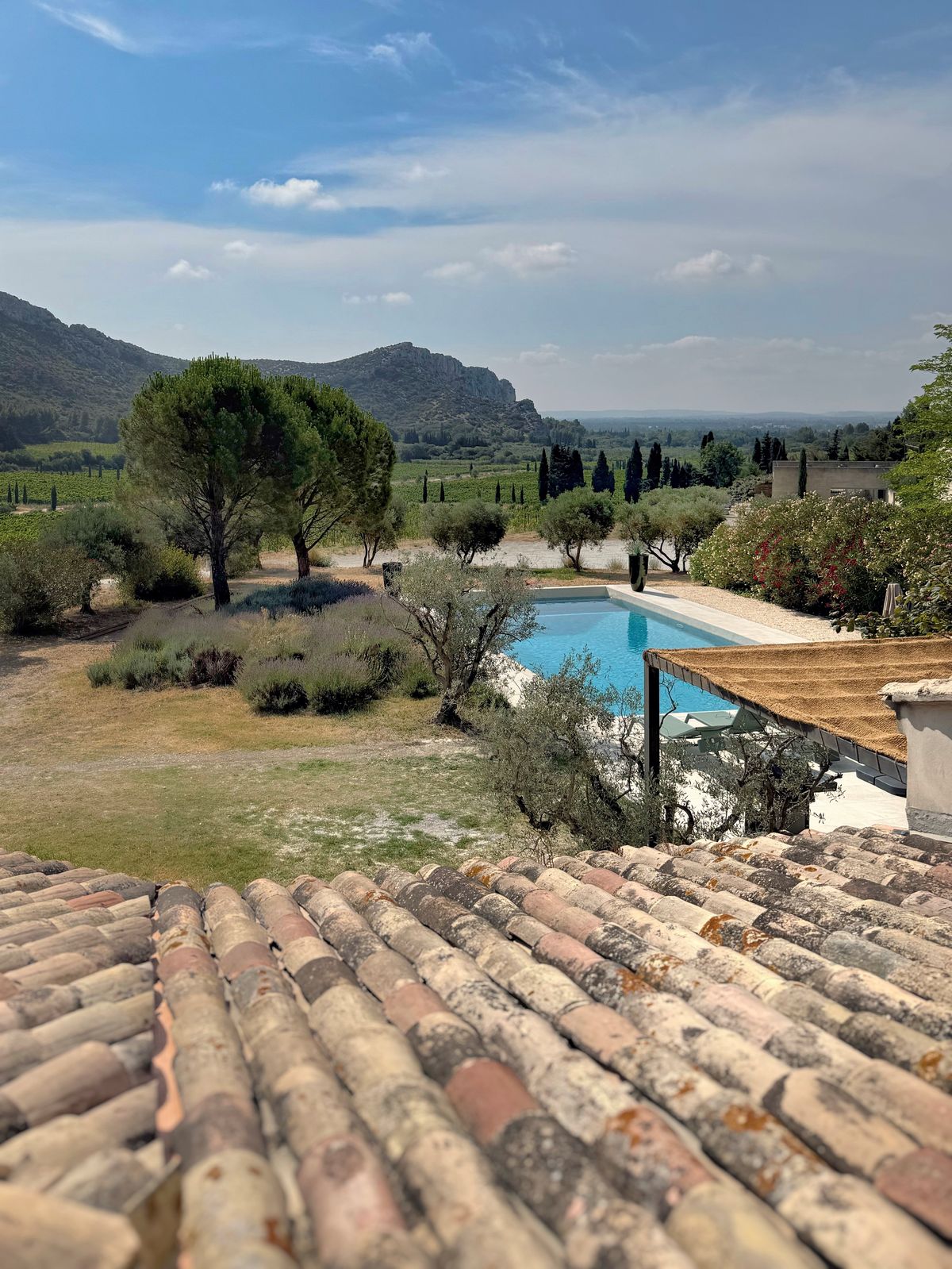 The villa swimming pool and olive trees seen over a terracotta roof, with the Alpilles in the distance