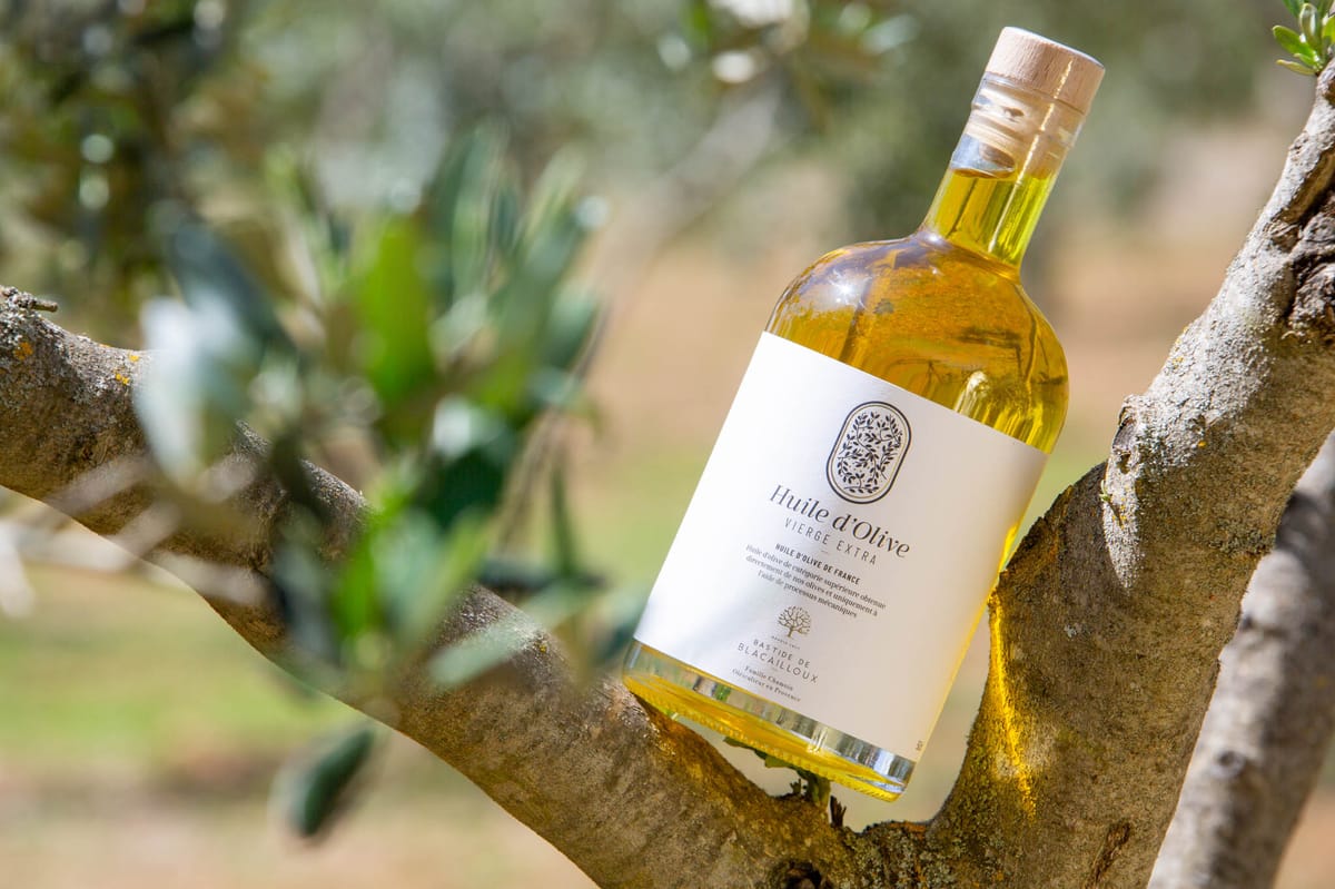 Bastide de Blacailloux extra-virgin olive oil bottle in olive tree branches