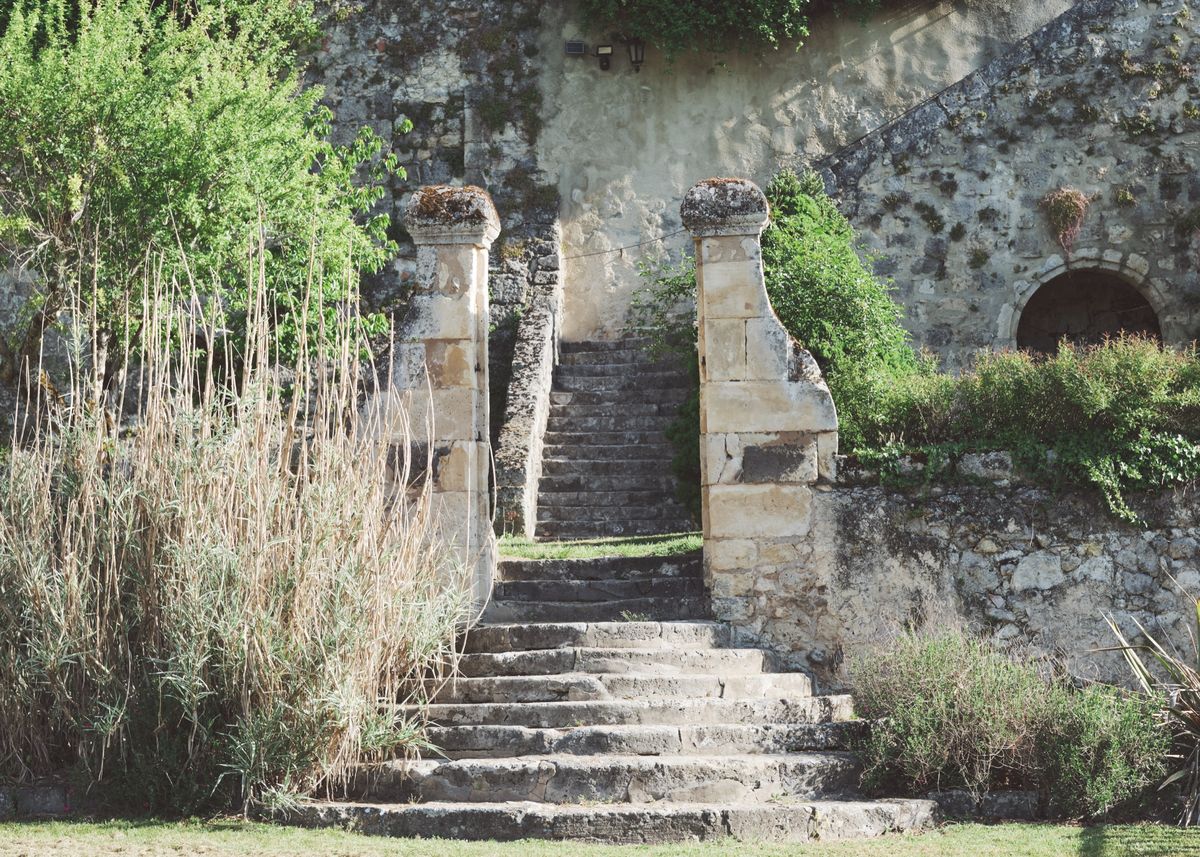 Worn stone steps between two stone pillars, edged with tall grasses, leading up to a second flight of steps