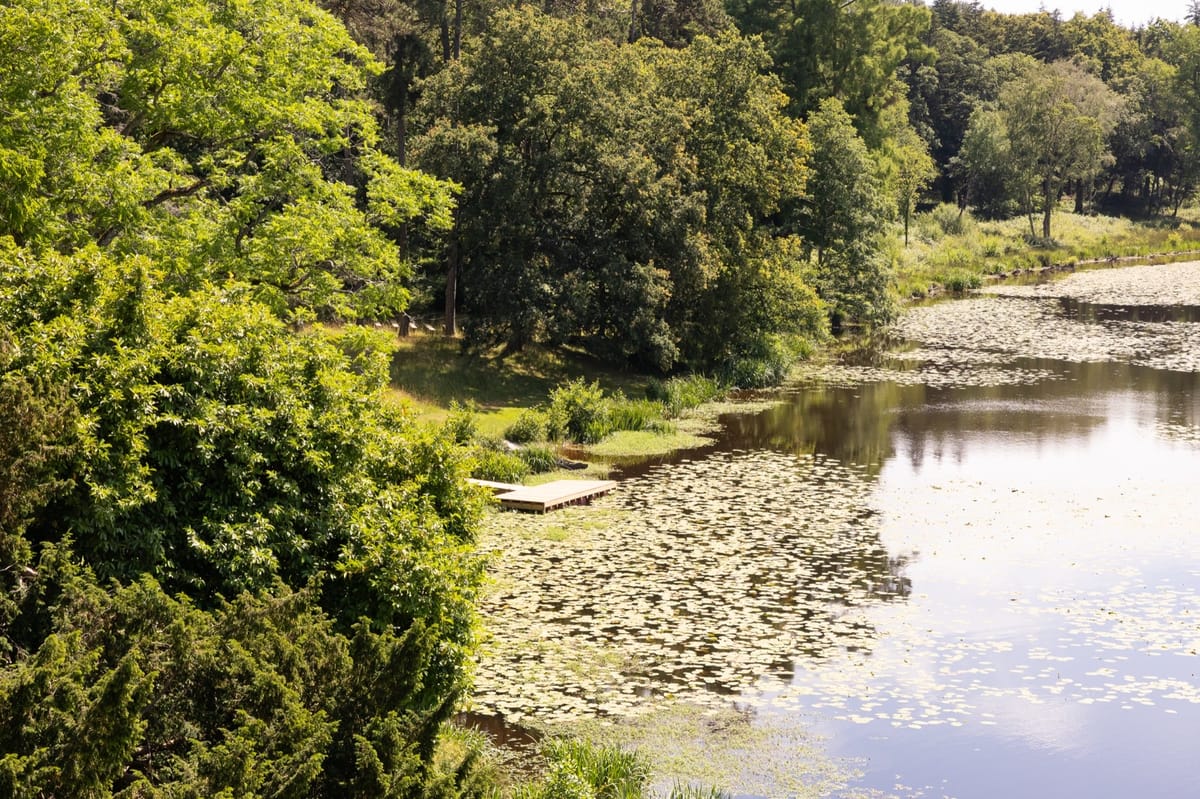 The lily-covered lake in the grounds at Chateau du Pordor, seen from the guest accommodation