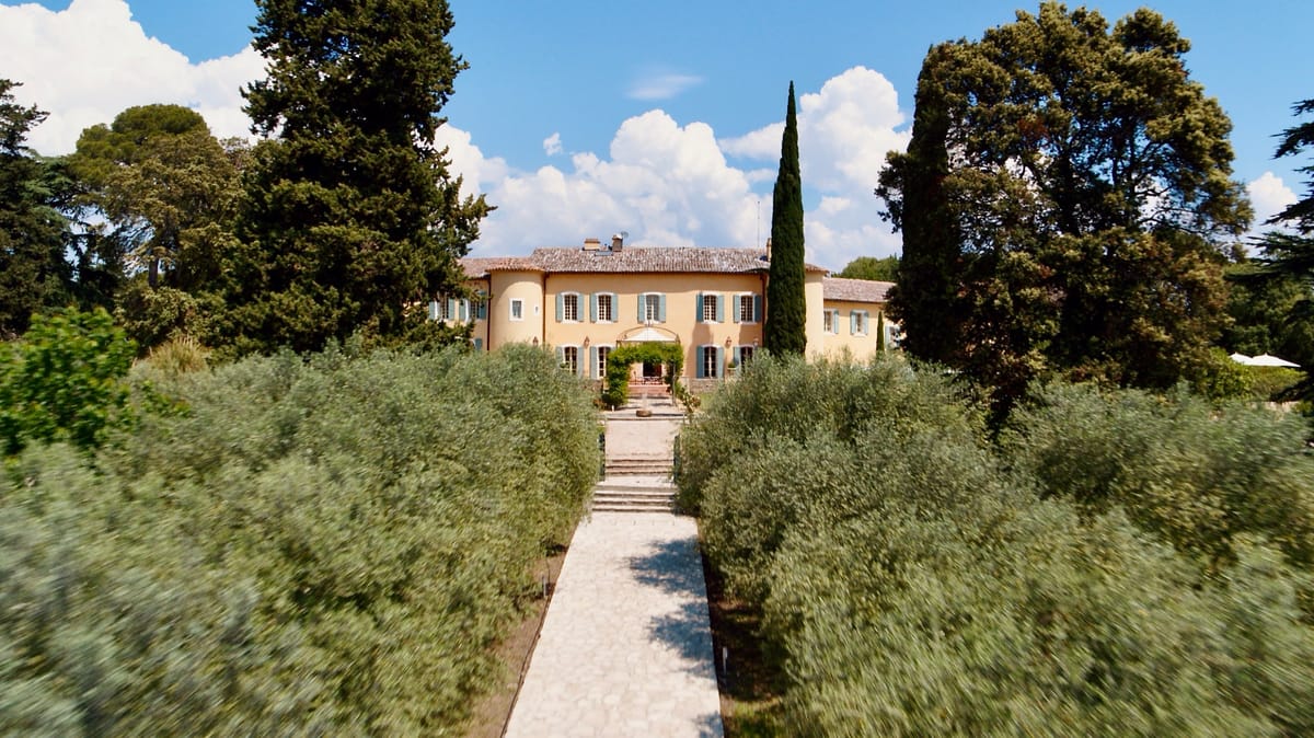 Olive-lined stone path leading to the facade of Chateau les Crostes