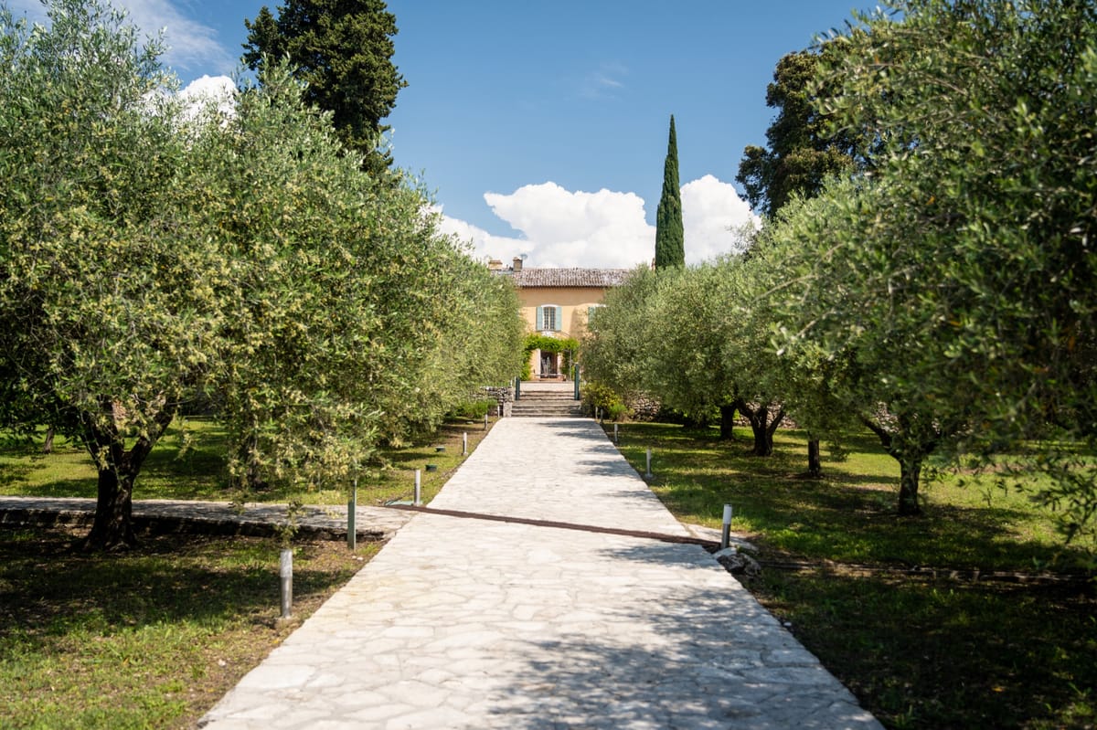 Stone path through the olive grove in the park at Chateau les Crostes
