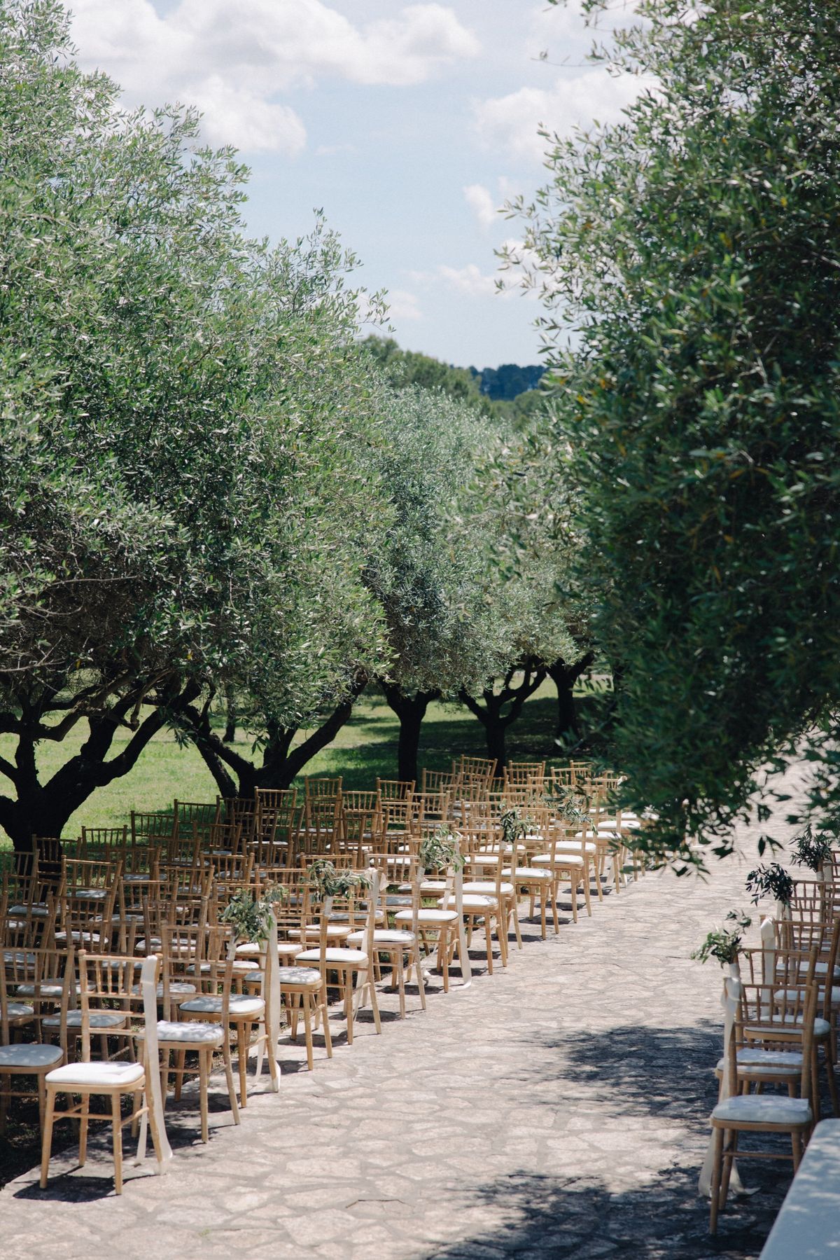 Ceremony chairs set among the olive trees at Chateau les Crostes