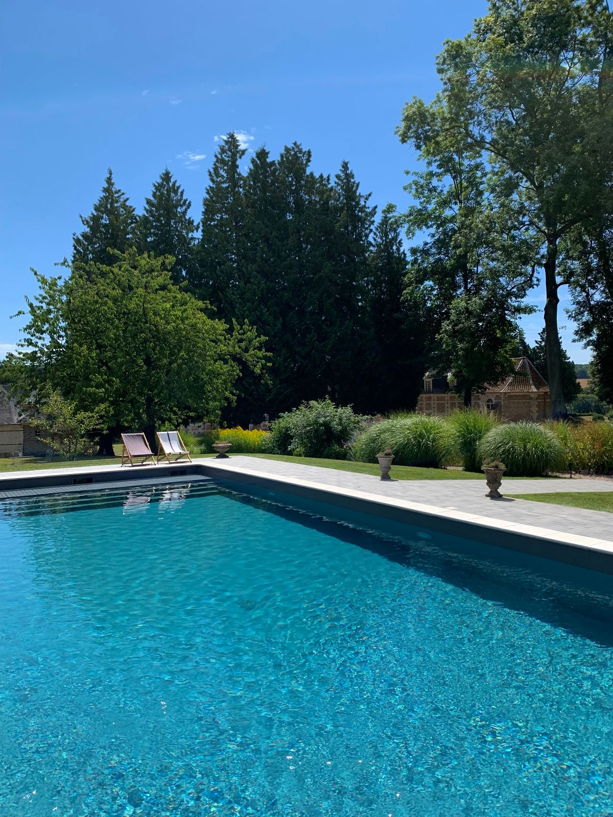 The outdoor swimming pool in summer with loungers and mature trees behind