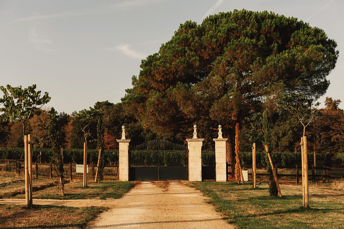 Château de Beaulieu — Driveway / avenue approach