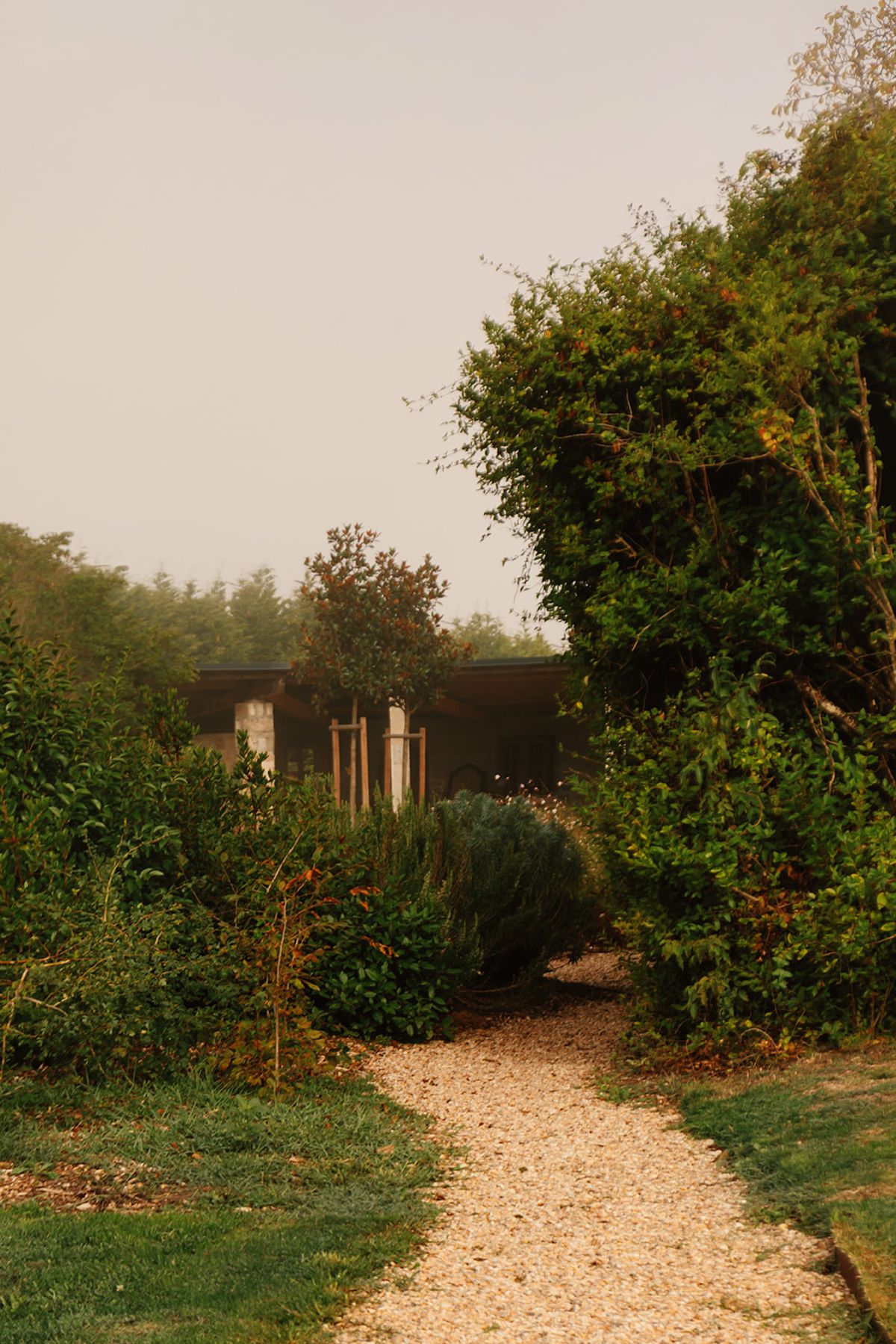 Château de Beaulieu — Garden path, hedge-lined
