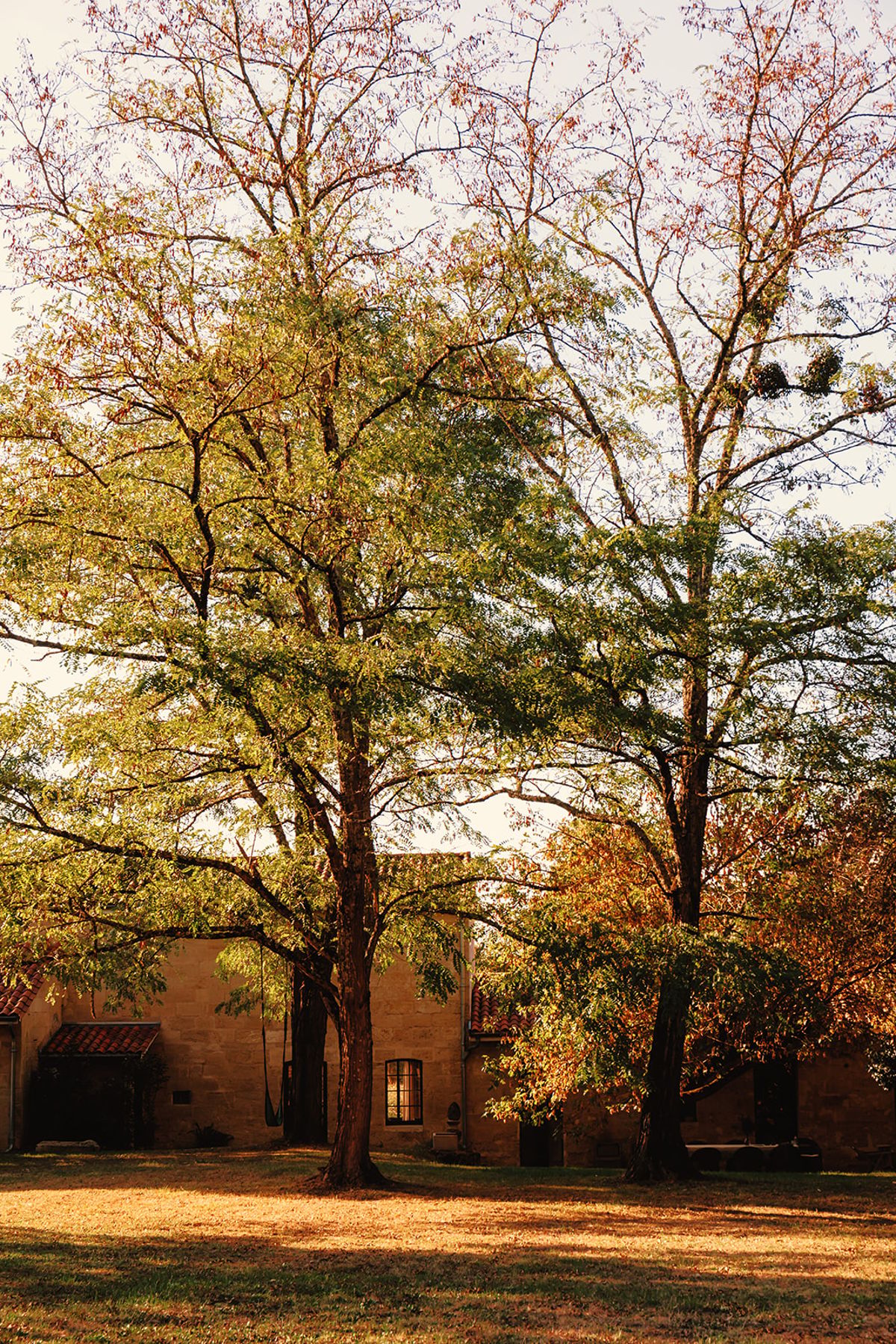 Château de Beaulieu — Garden — trees + lawn