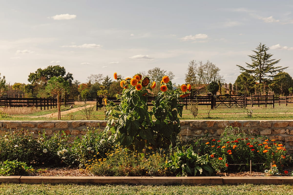 Château de Beaulieu — Kitchen garden / potager