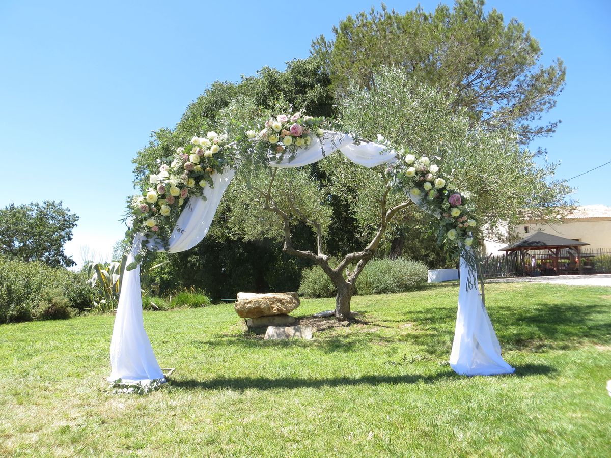 Floral ceremony arch of roses and draped white fabric arranged around an olive tree on the lawn.
