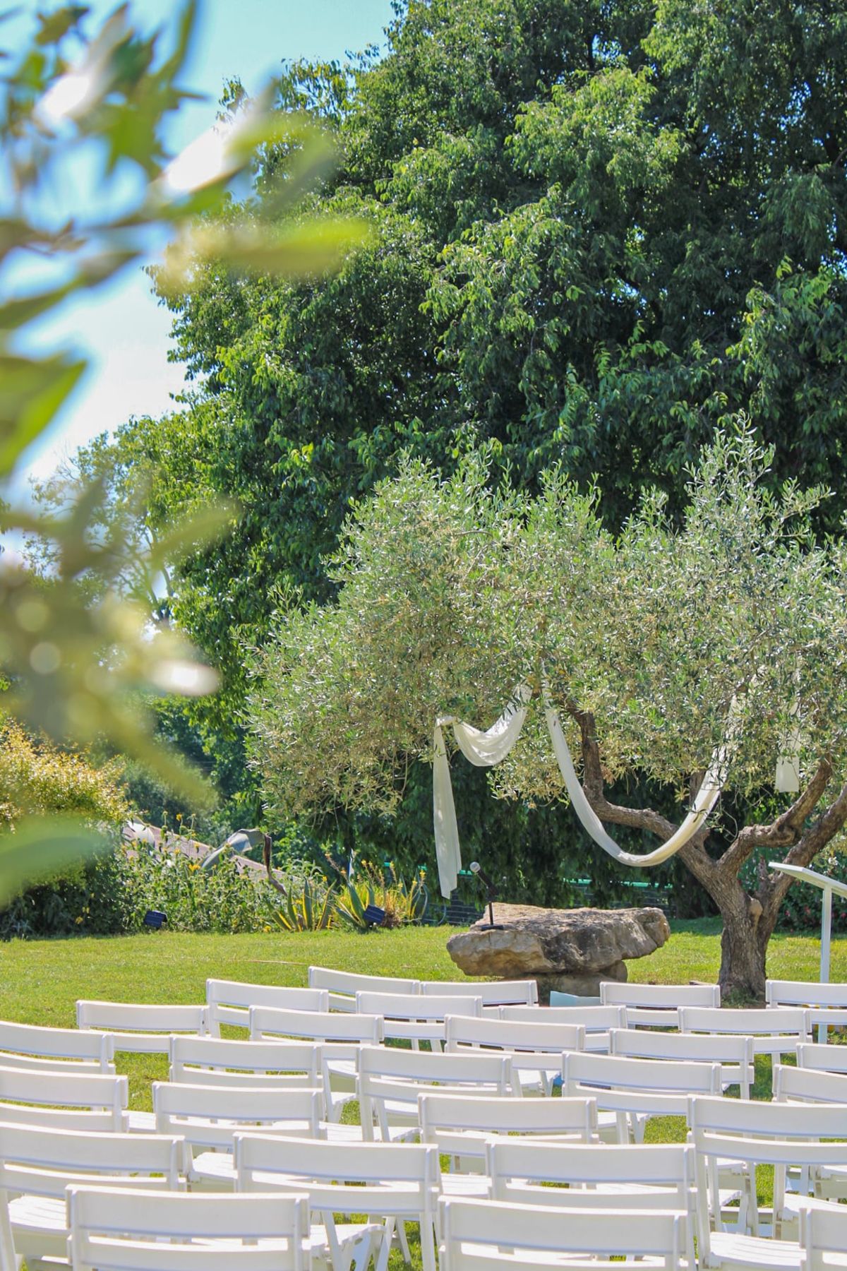 Rows of white folding chairs on a lawn facing a large flat stone beneath an olive tree hung with cream fabric drapes.