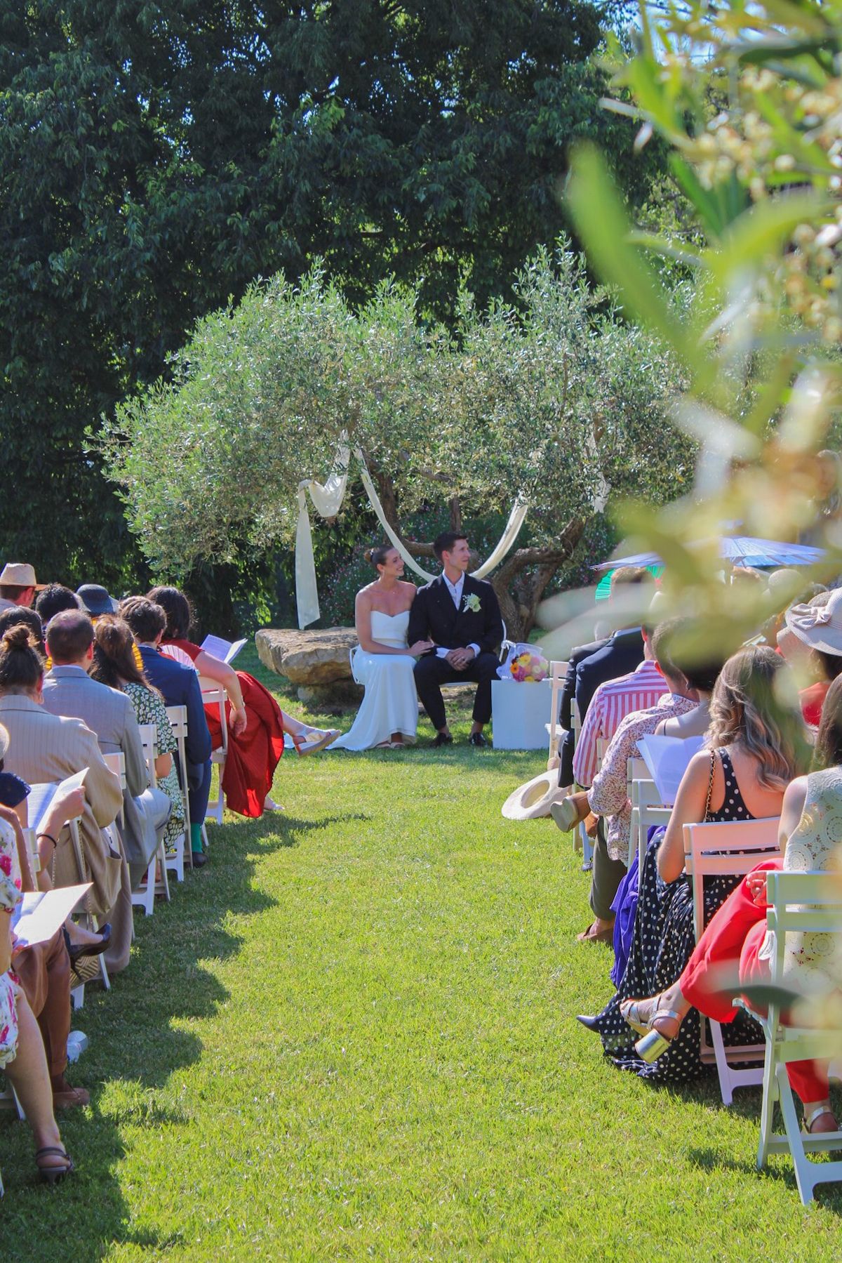 Seated guests on the lawn facing the couple during a ceremony beneath an olive tree hung with white drapes.