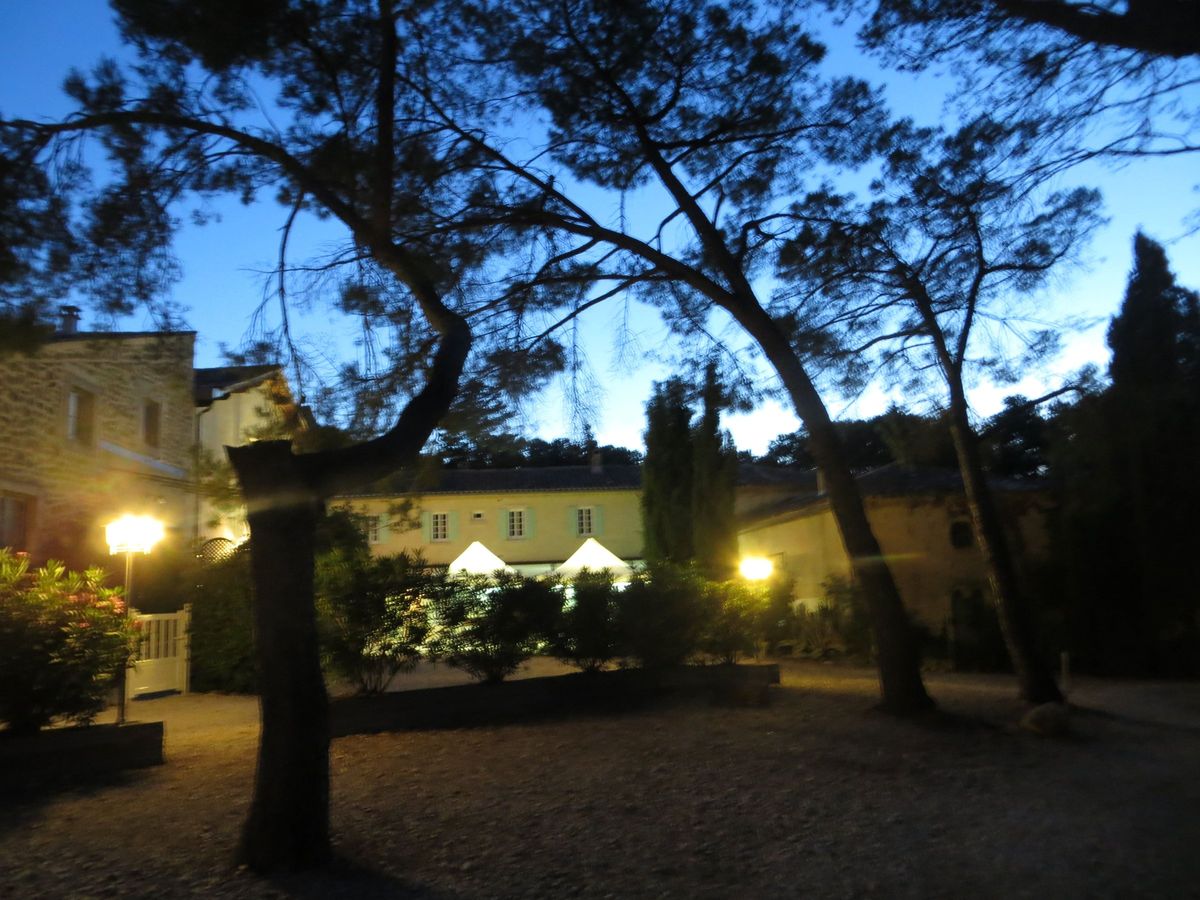 The estate buildings floodlit at dusk, seen through the pine trees across the gravel.