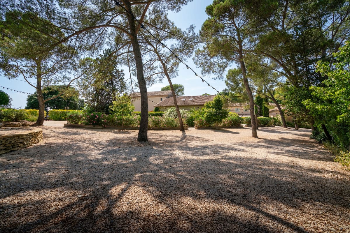 Open gravel clearing beneath umbrella pines strung with festoon lights, bordered by an oleander bed and a dry stone wall.