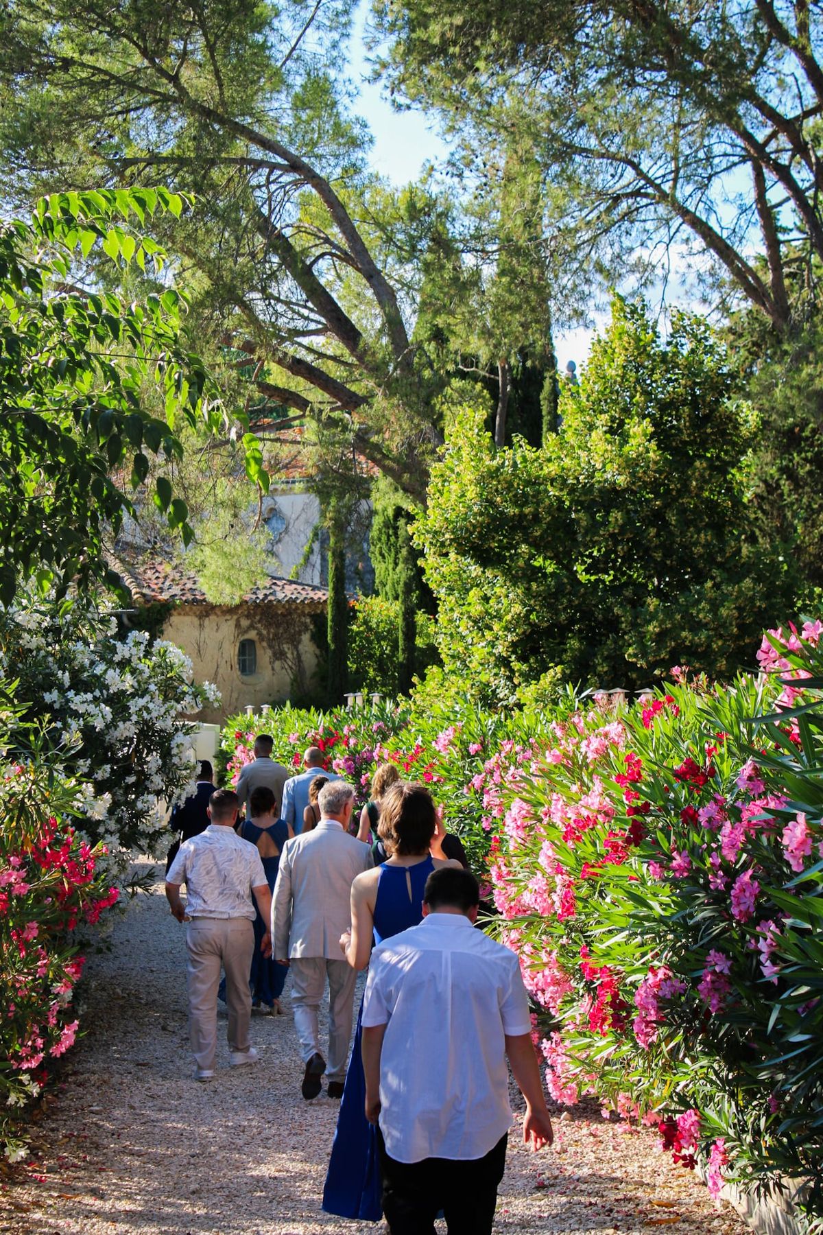 Guests walking a gravel path banked with pink and white oleander toward a stone building, framed by pine and cypress trees.