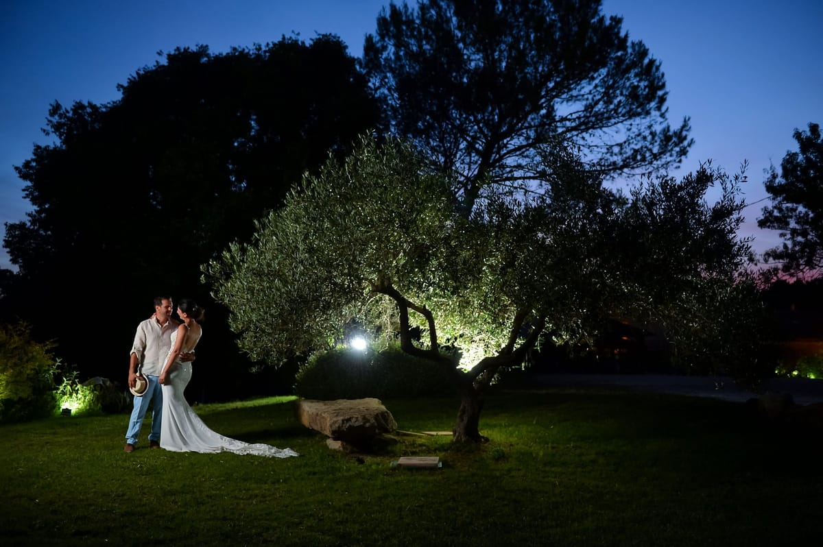 An olive tree floodlit against the night sky on the lawn, with a couple standing beneath it.