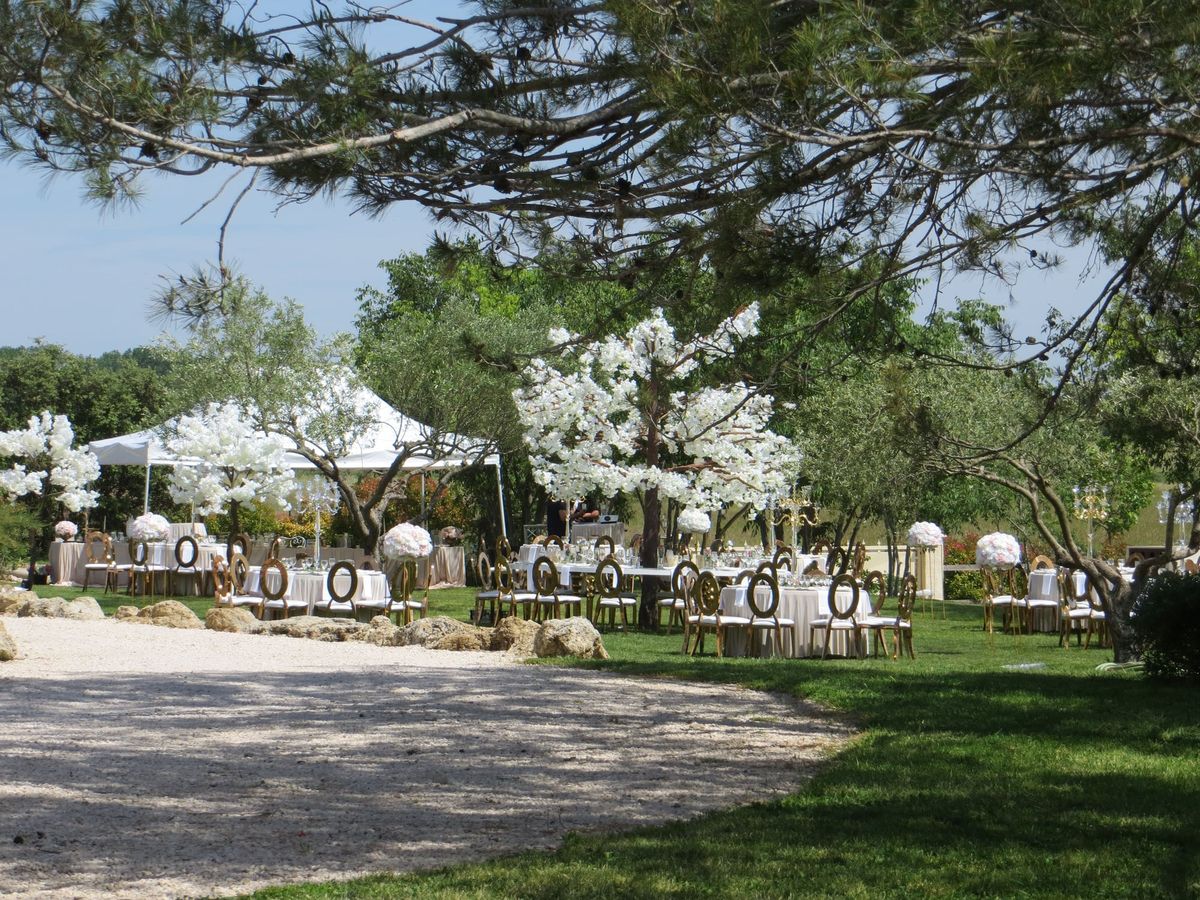 Outdoor tables in ivory linen with gold chairs, candelabra and tall white blossom trees, set beside a white marquee.