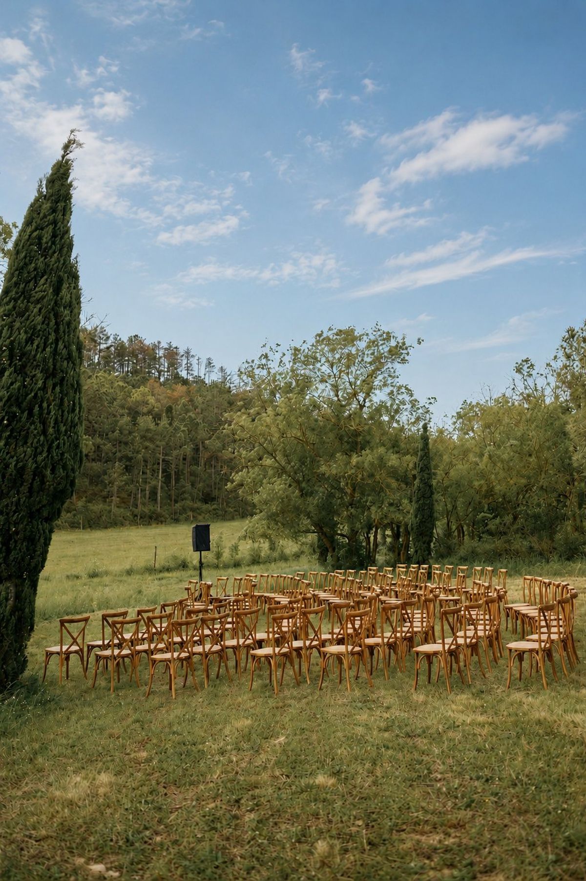 Rows of crossback chairs set for an outdoor ceremony on the meadow, cypress and wooded hillside behind