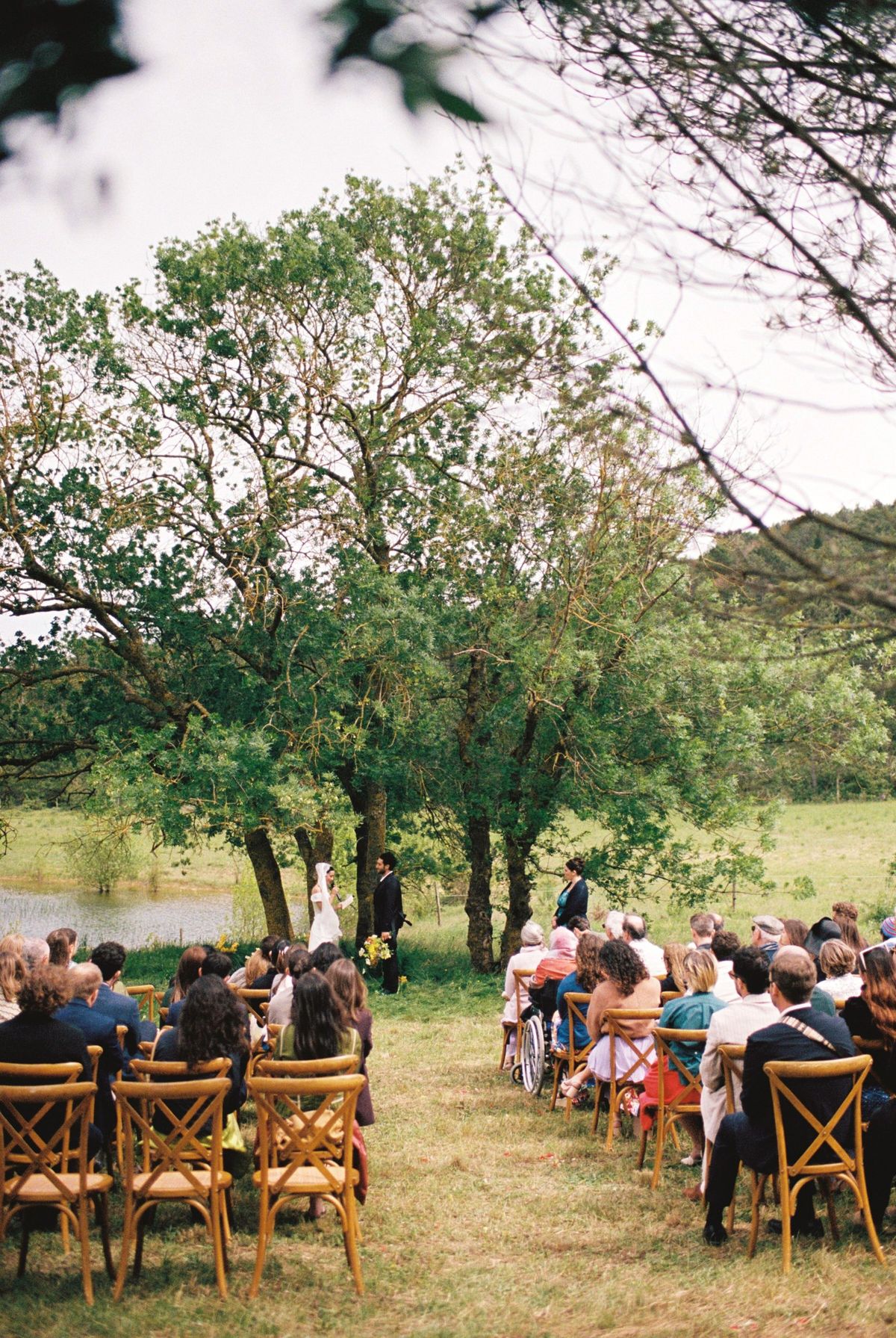 Guests seated for an outdoor ceremony beneath the trees, the lake beyond