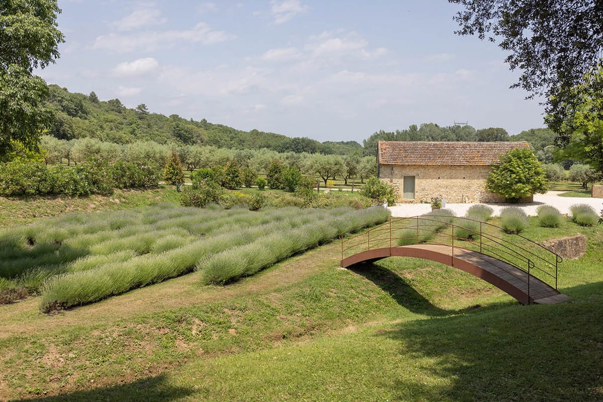 Lavender rows with arched footbridge and stone outbuilding at Domaine de Valbonne gardens