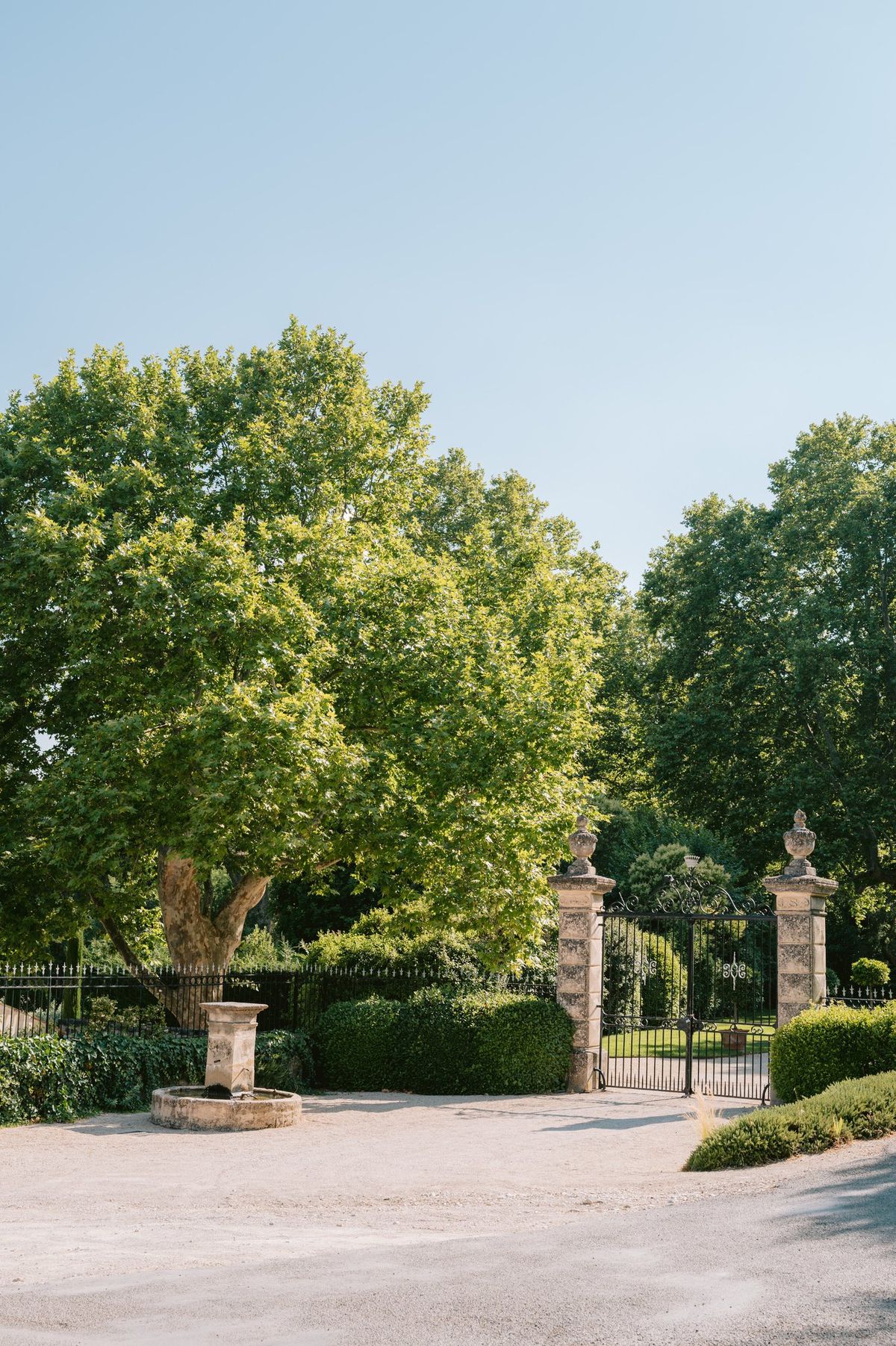 Tree-lined entrance drive at Domaine de Fontenille