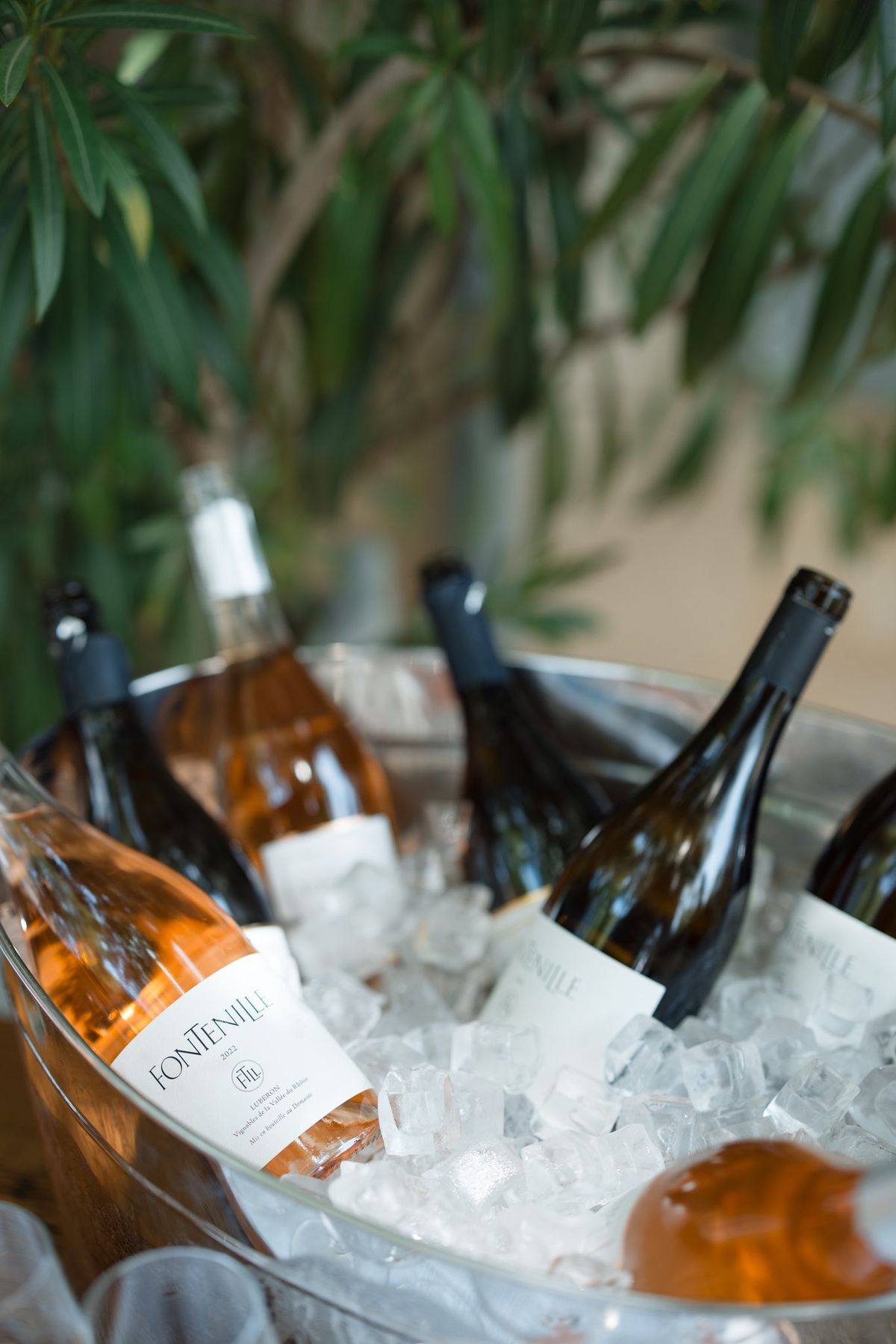 Rose wine bottles chilling in an ice bucket