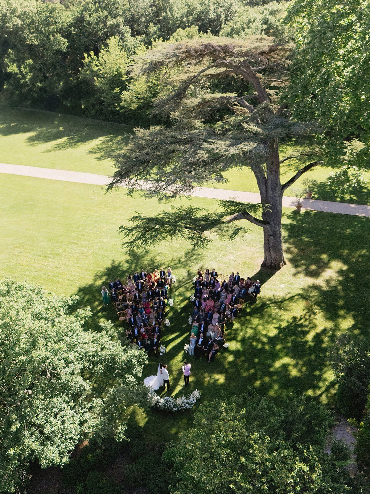 Aerial view of a lone tree on the lawn with the chateau in the distance