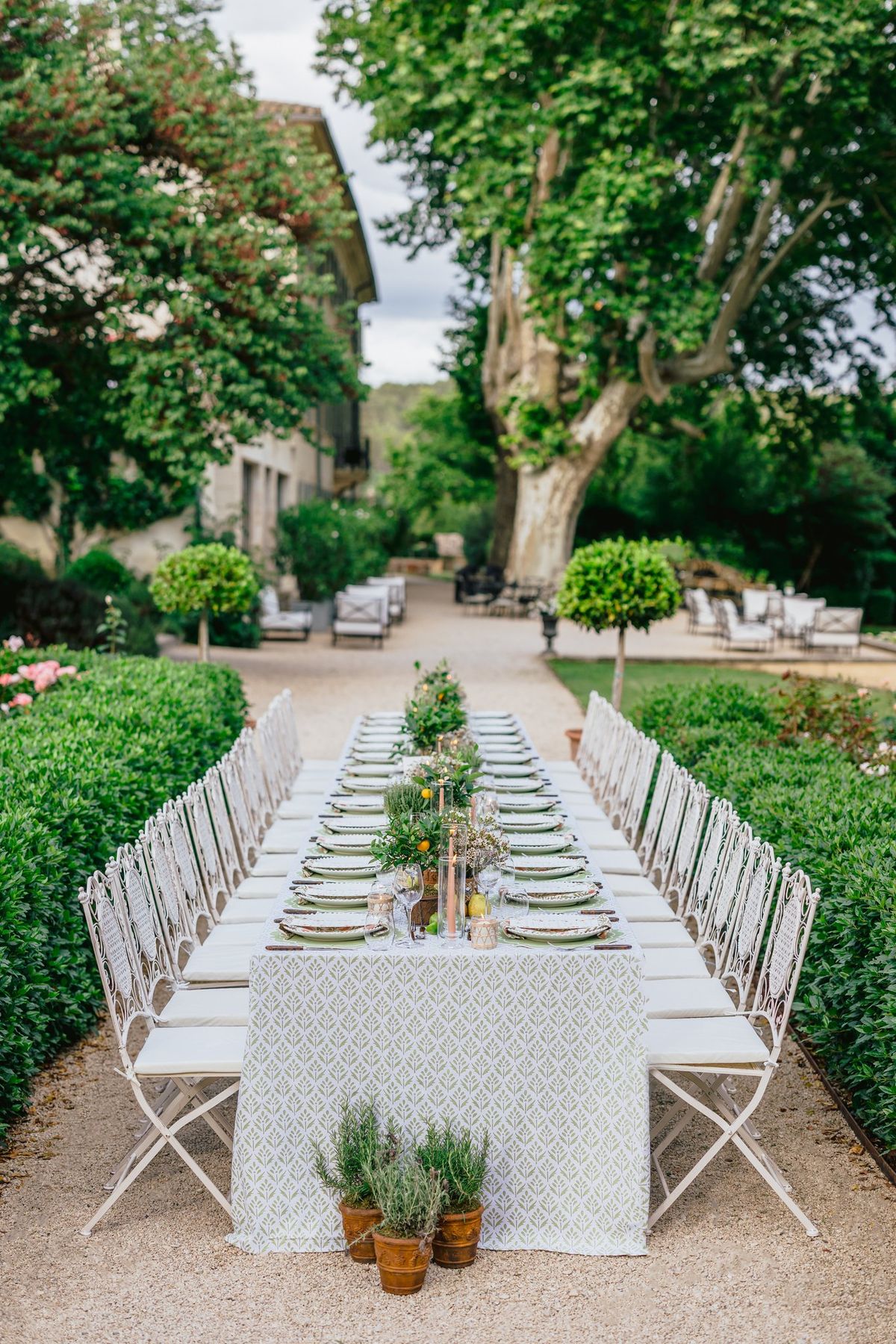 Long reception table set on the lawn under mature trees