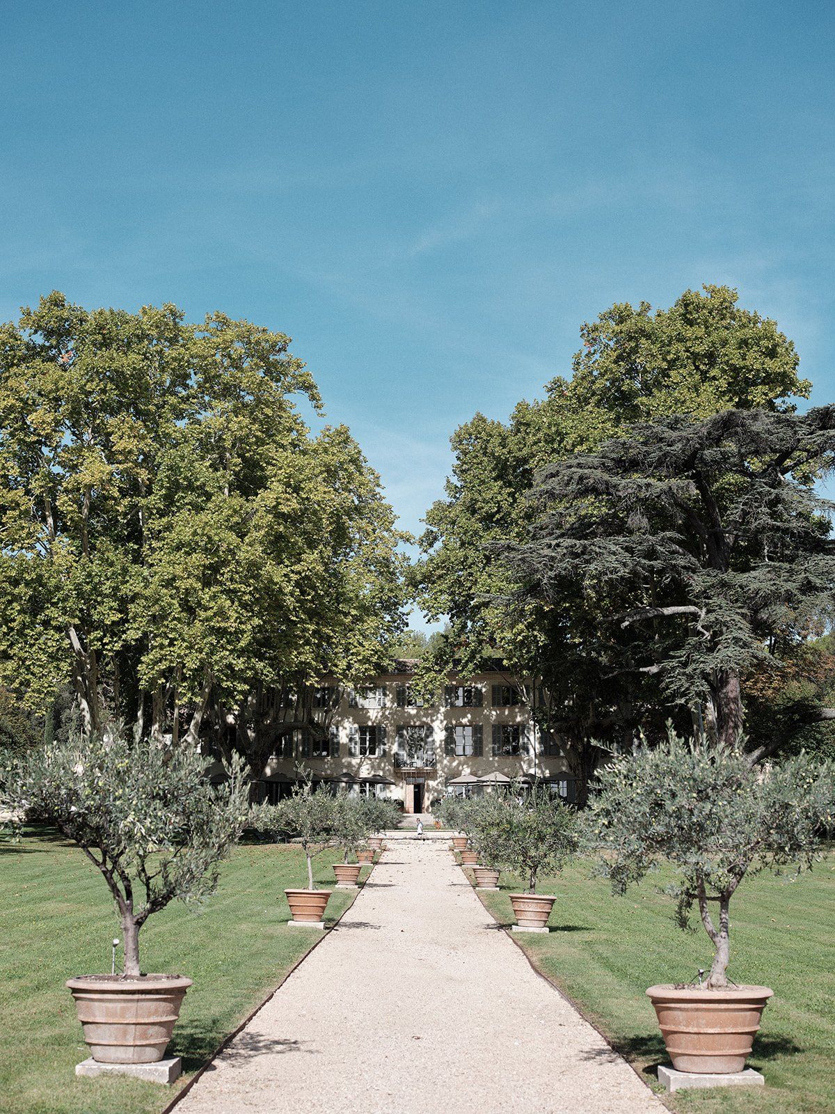 Tree-lined garden path dotted with terracotta pots