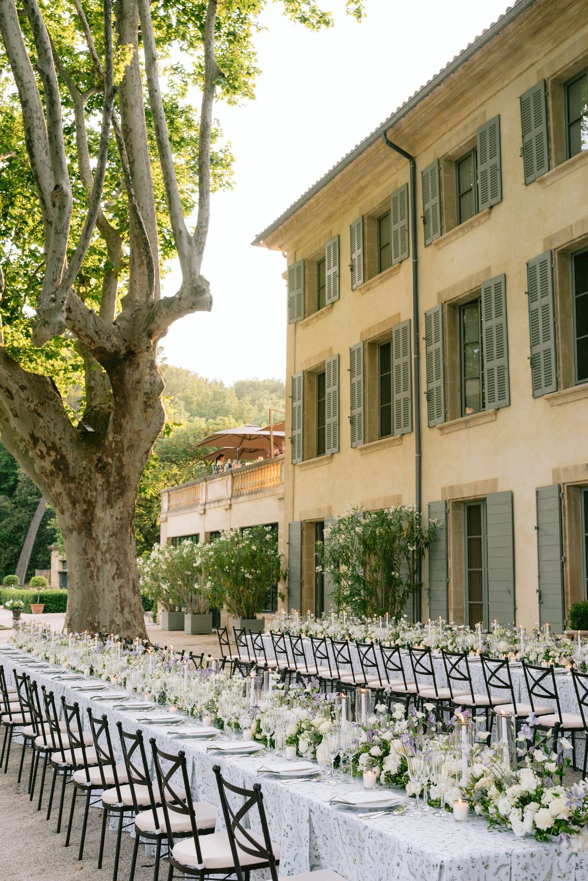 Long dinner table set along the tree-lined avenue