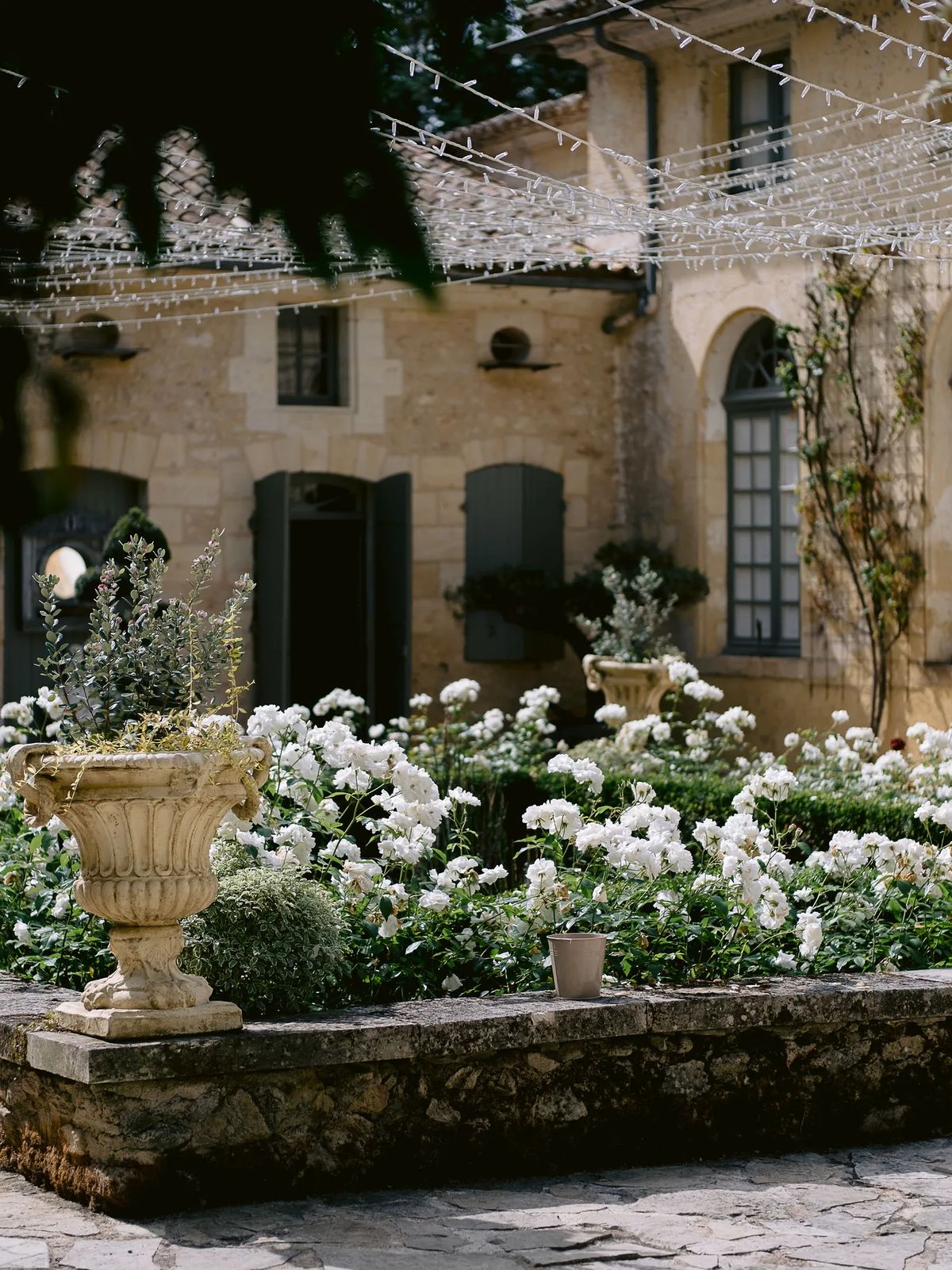 Stone courtyard with a planted urn and white roses under string lights