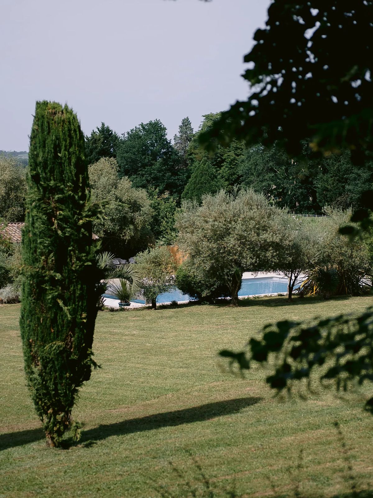 Cypress and mown lawns with the pool terrace beyond