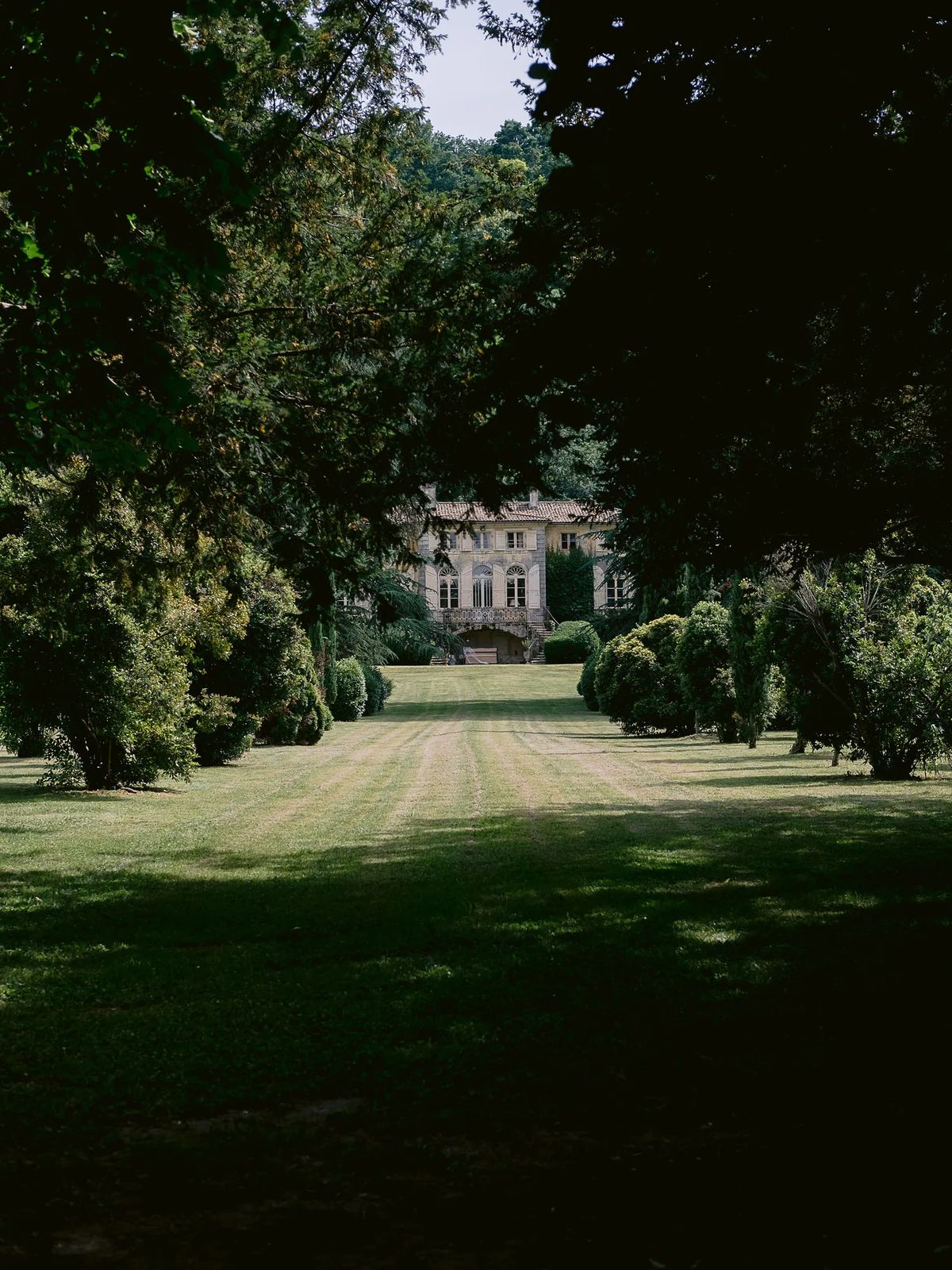 Broad grass avenue leading through the park to the chateau