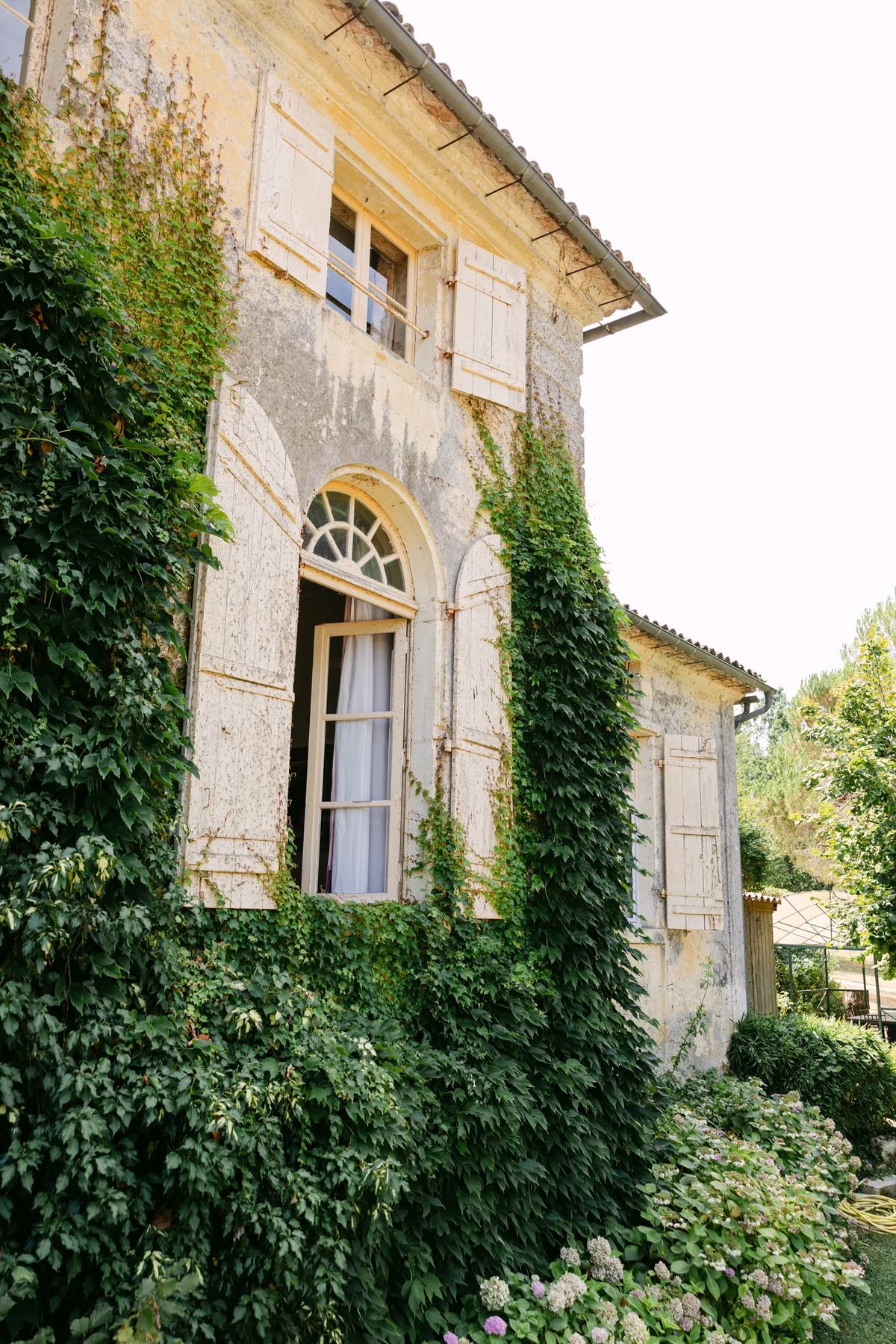 Ivy-clad wing of the chateau with tall arched windows
