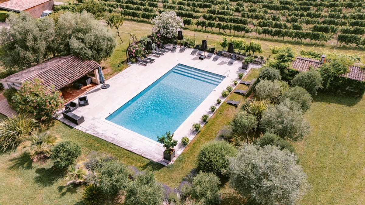 An aerial view of the swimming pool, its sun loungers and the vineyard rows beyond