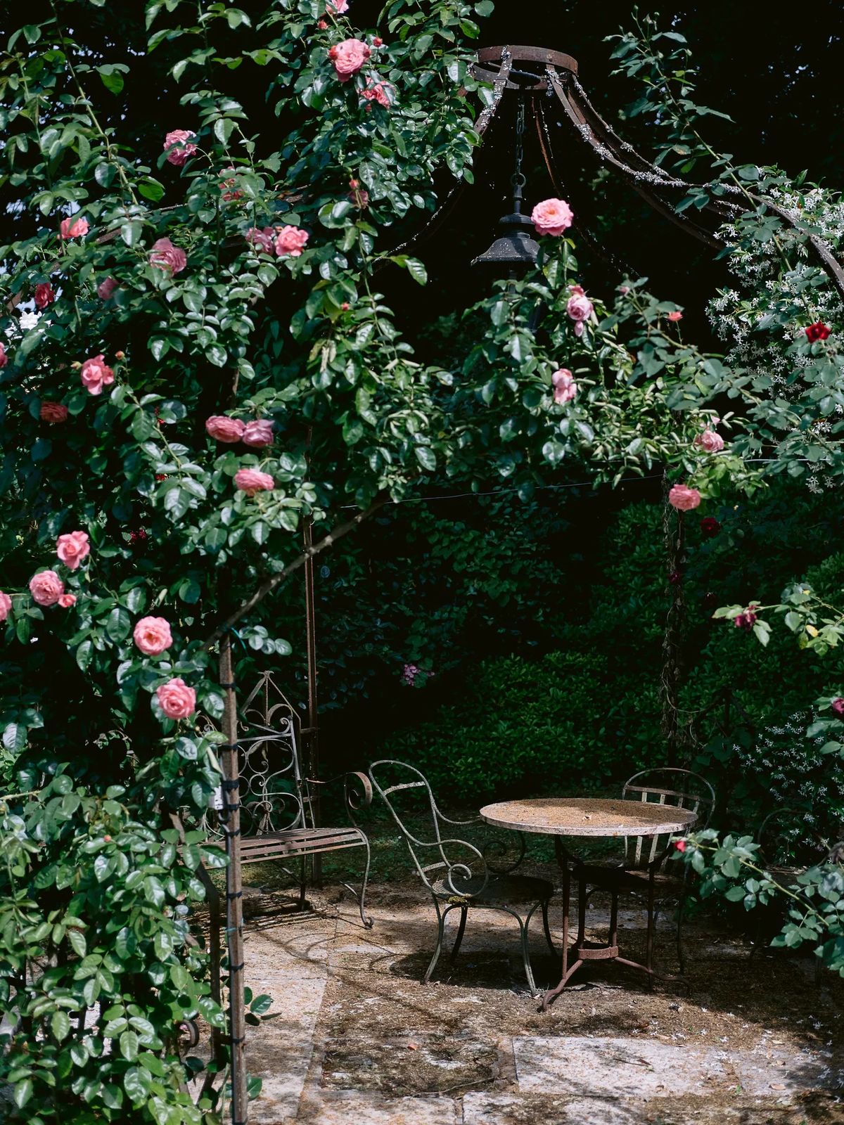 Rose-covered arbour sheltering a small cafe table and chairs