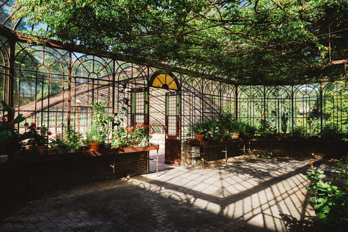The glass greenhouse under a canopy of vines, with potted geraniums and a stained-glass door